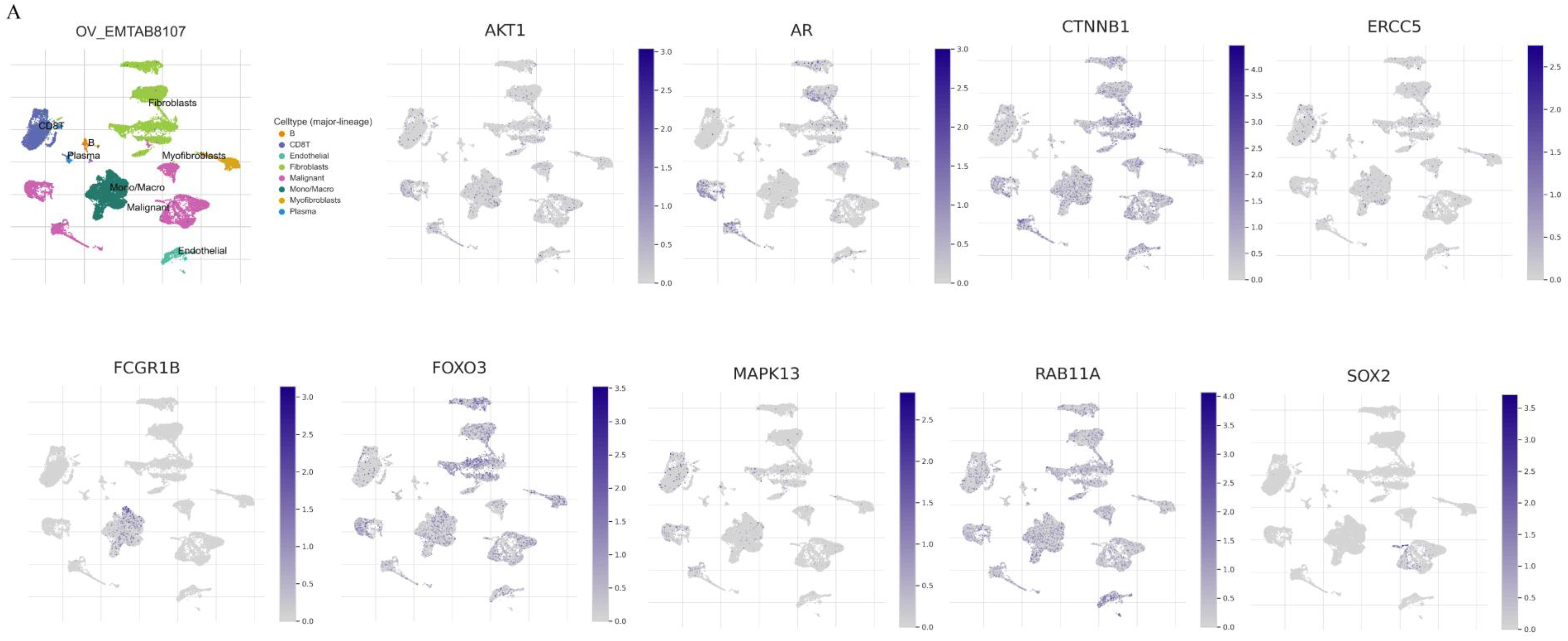 Biomolecules 13 00685 g013a