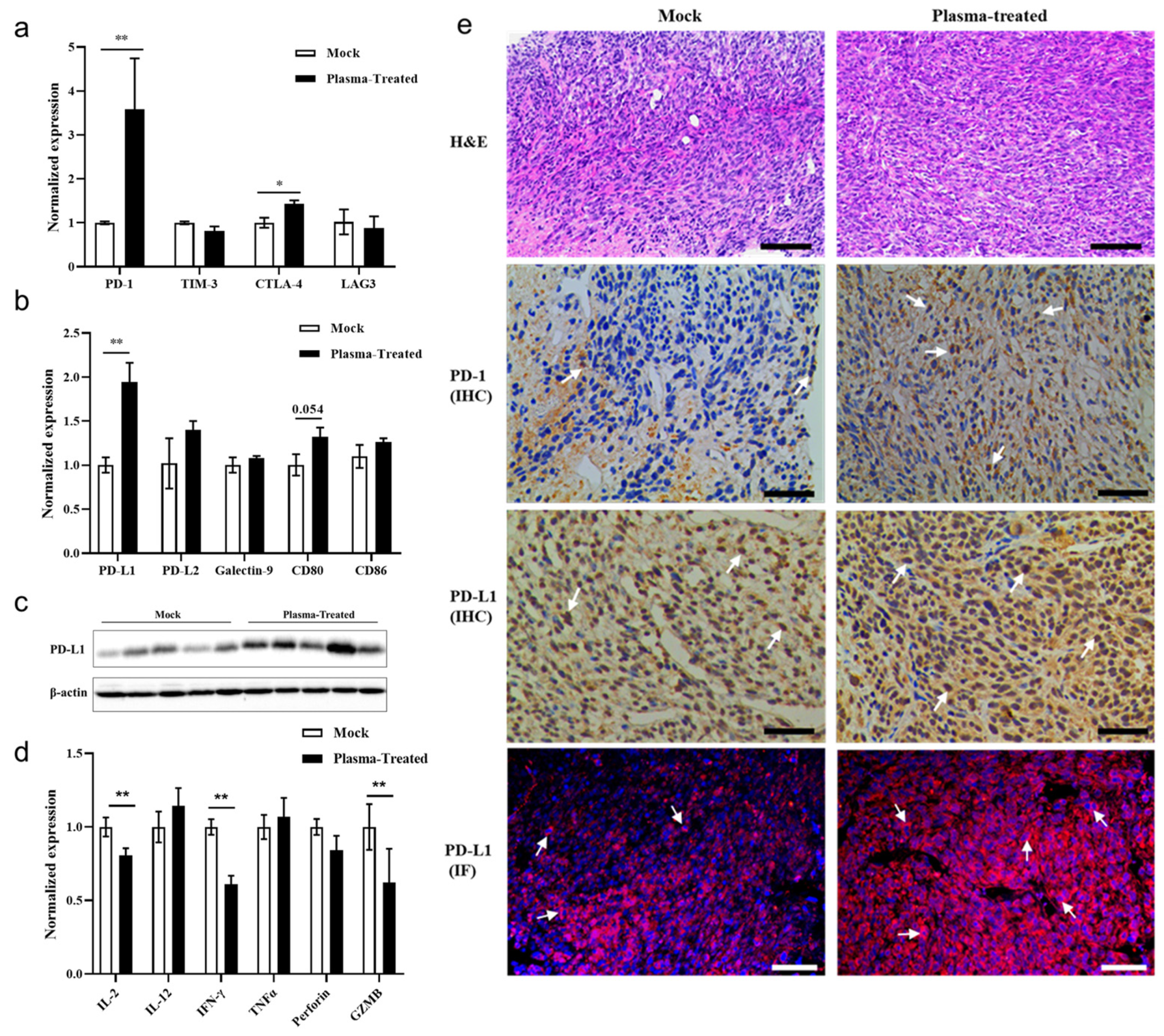 Biomolecules 13 00707 g005