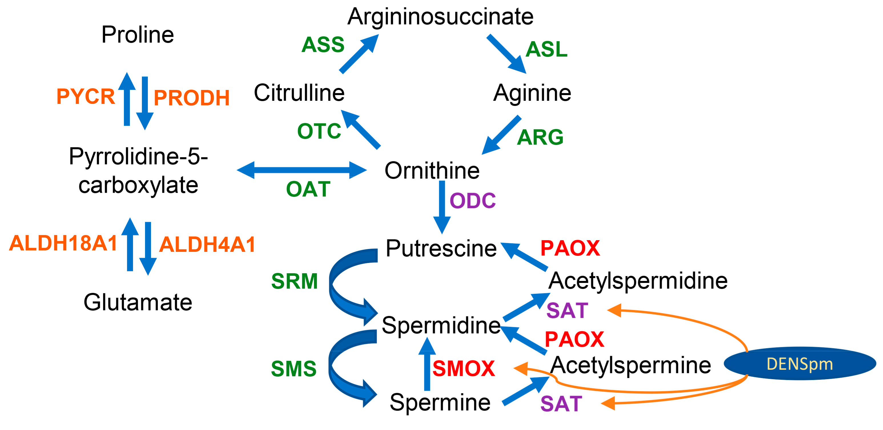Biomolecules 13 00714 sch001