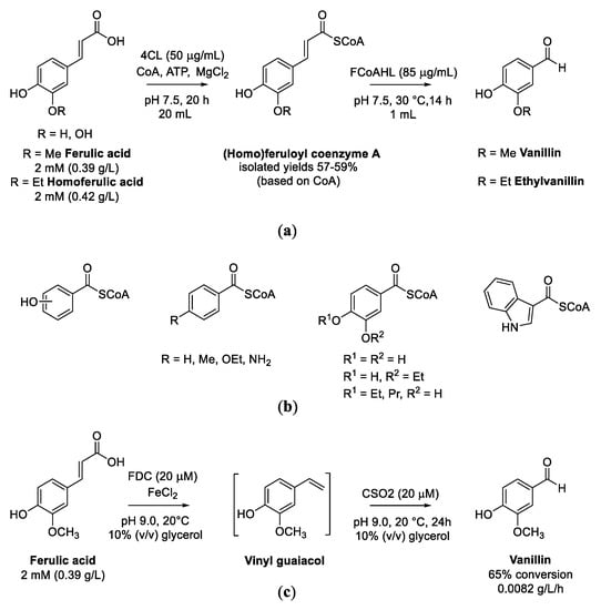 Biomolecules | Free Full-Text | Bio-Based Valorization of Lignin 