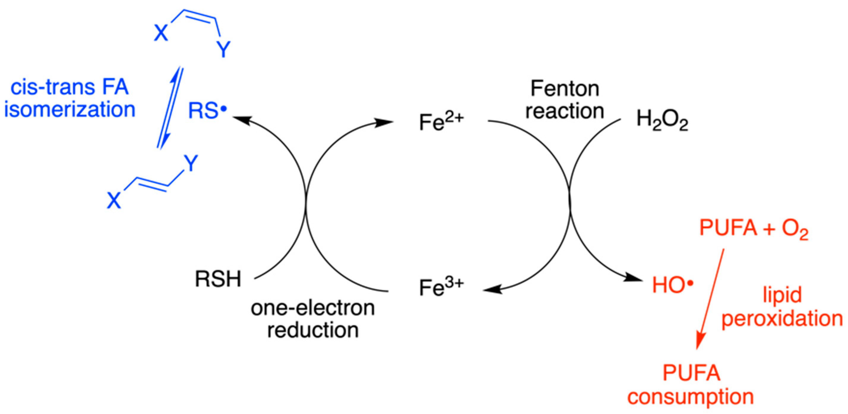 Biomolecules 13 00730 g005 Biomolecules 13 00730 g005