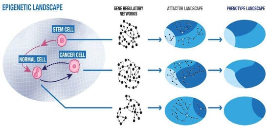 Transforming the cell therapy landscape with stem cell robots