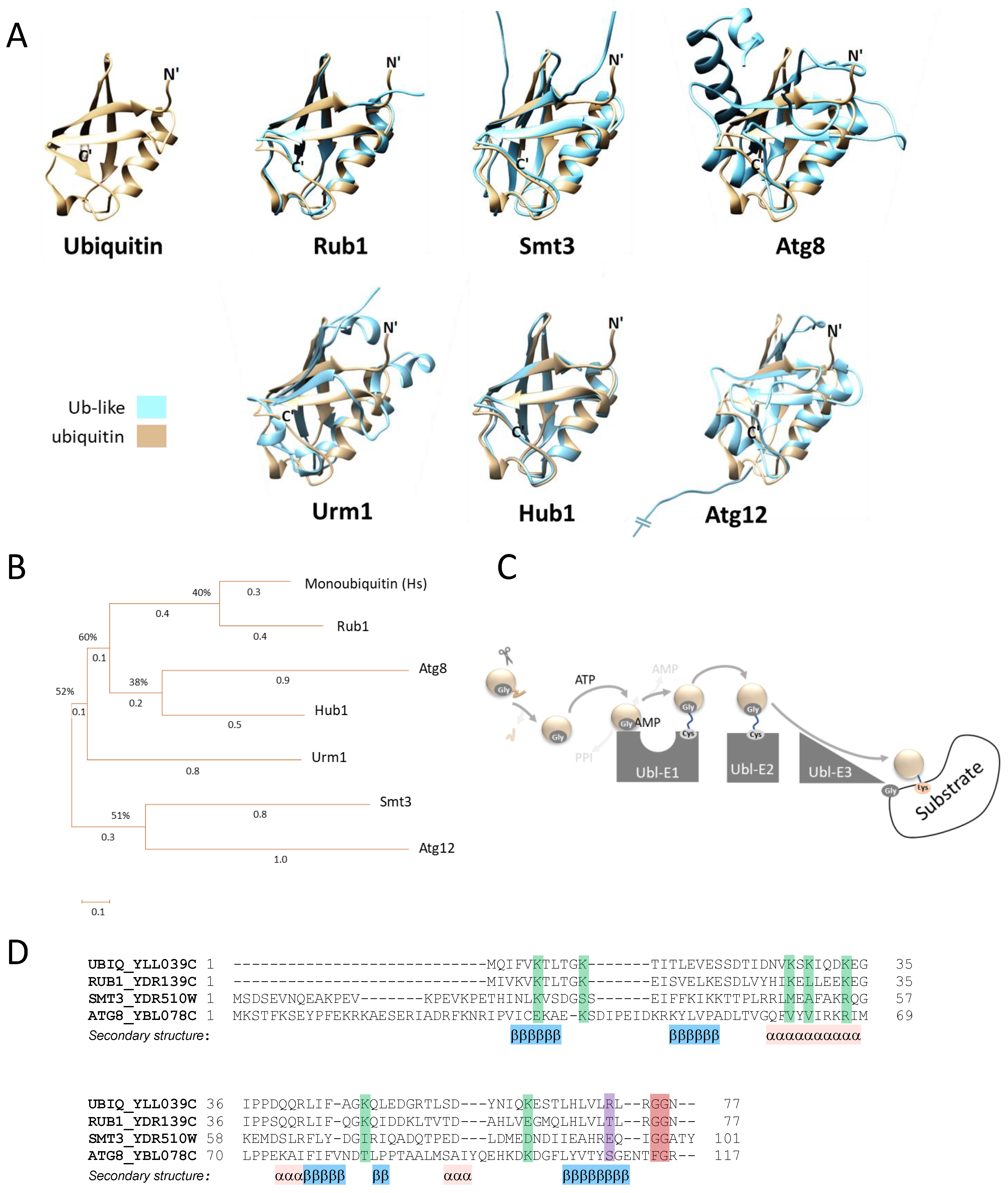 Biomolecules 13 00734 g001 Biomolecules 13 00734 g001