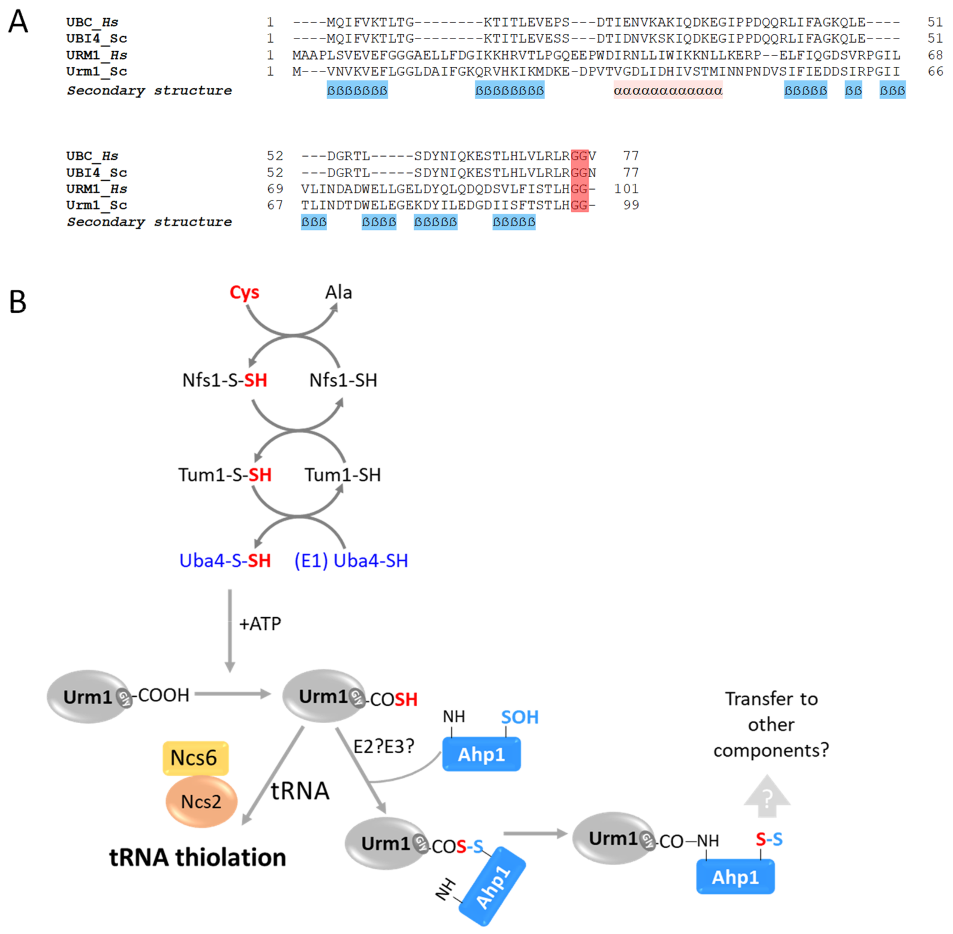 Biomolecules 13 00734 g005 Biomolecules 13 00734 g005