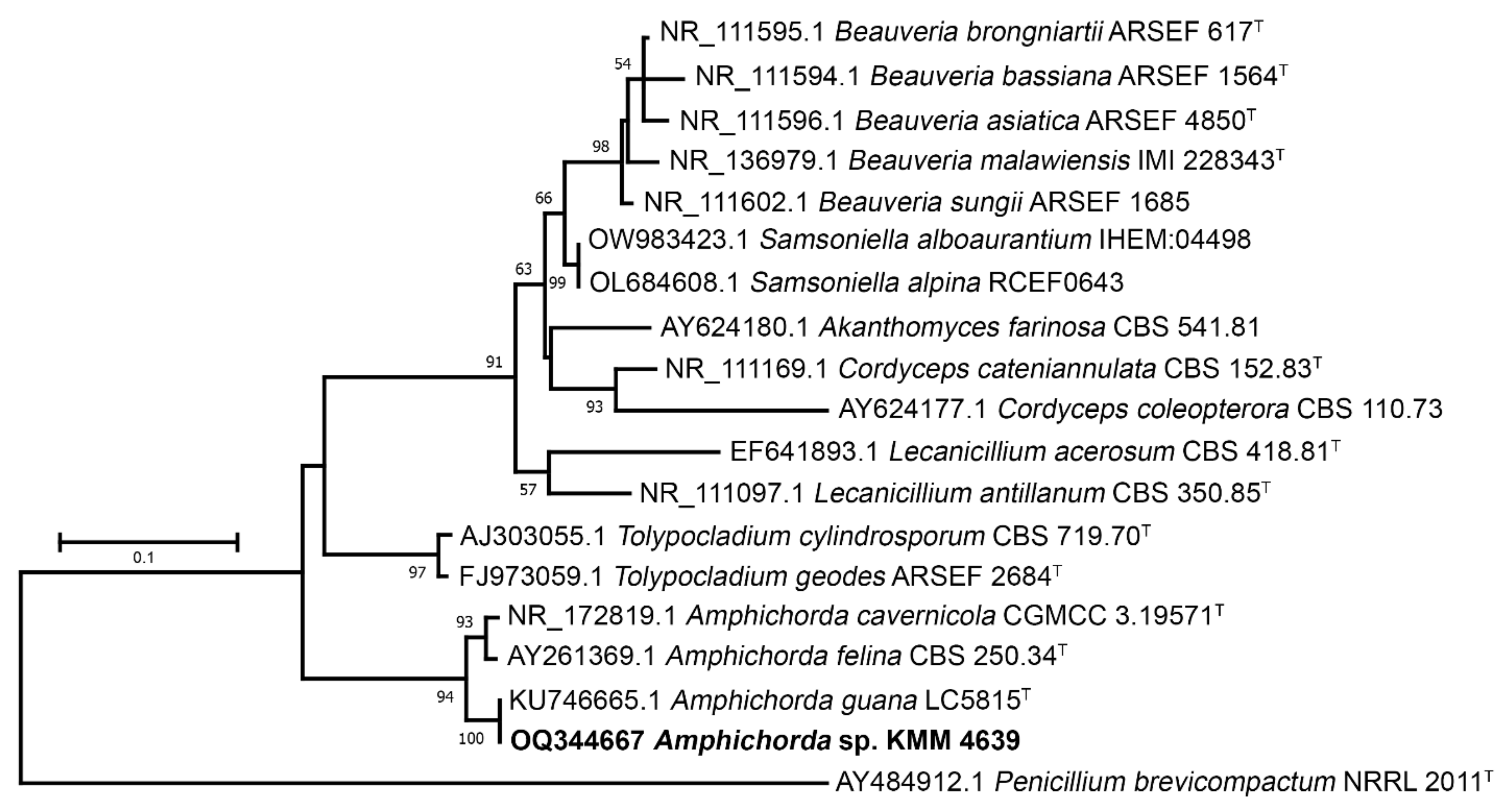 Biomolecules 13 00741 g002 Biomolecules 13 00741 g002