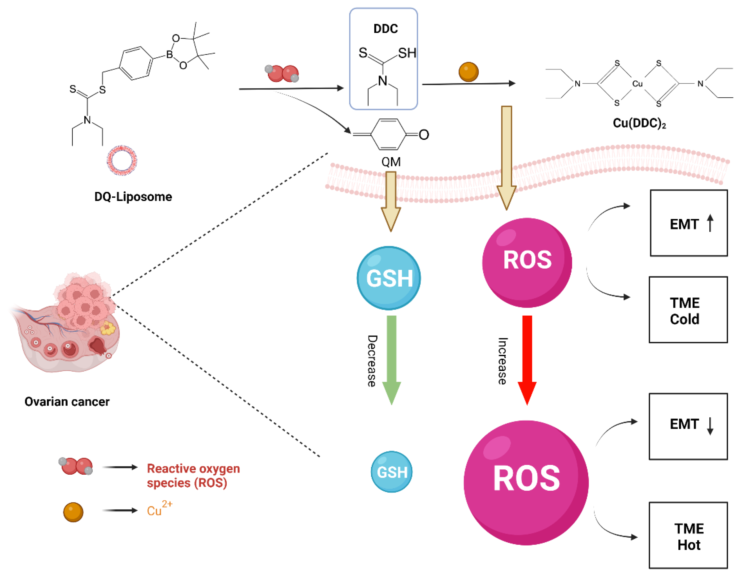 Biomolecules 13 00744 sch001 Biomolecules 13 00744 sch001