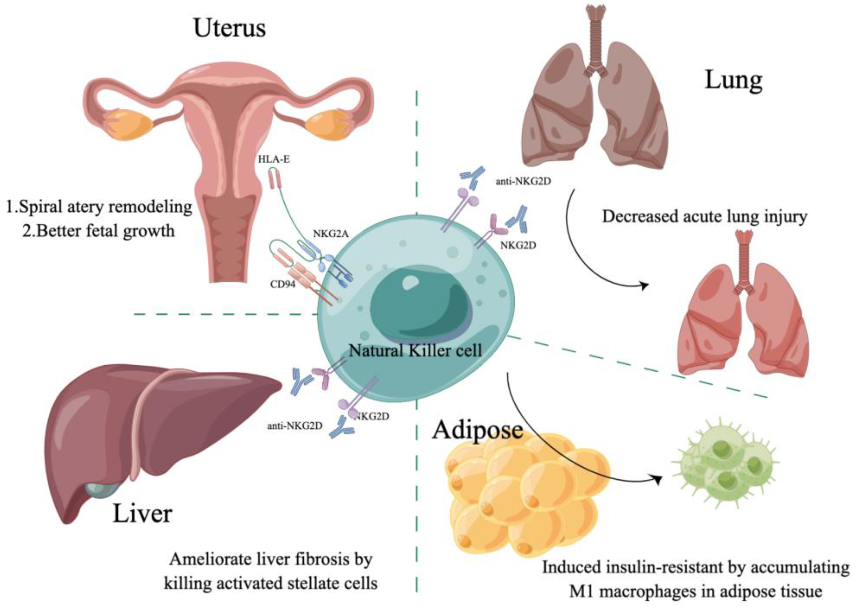 Biomolecules 13 00748 g002 Biomolecules 13 00748 g002