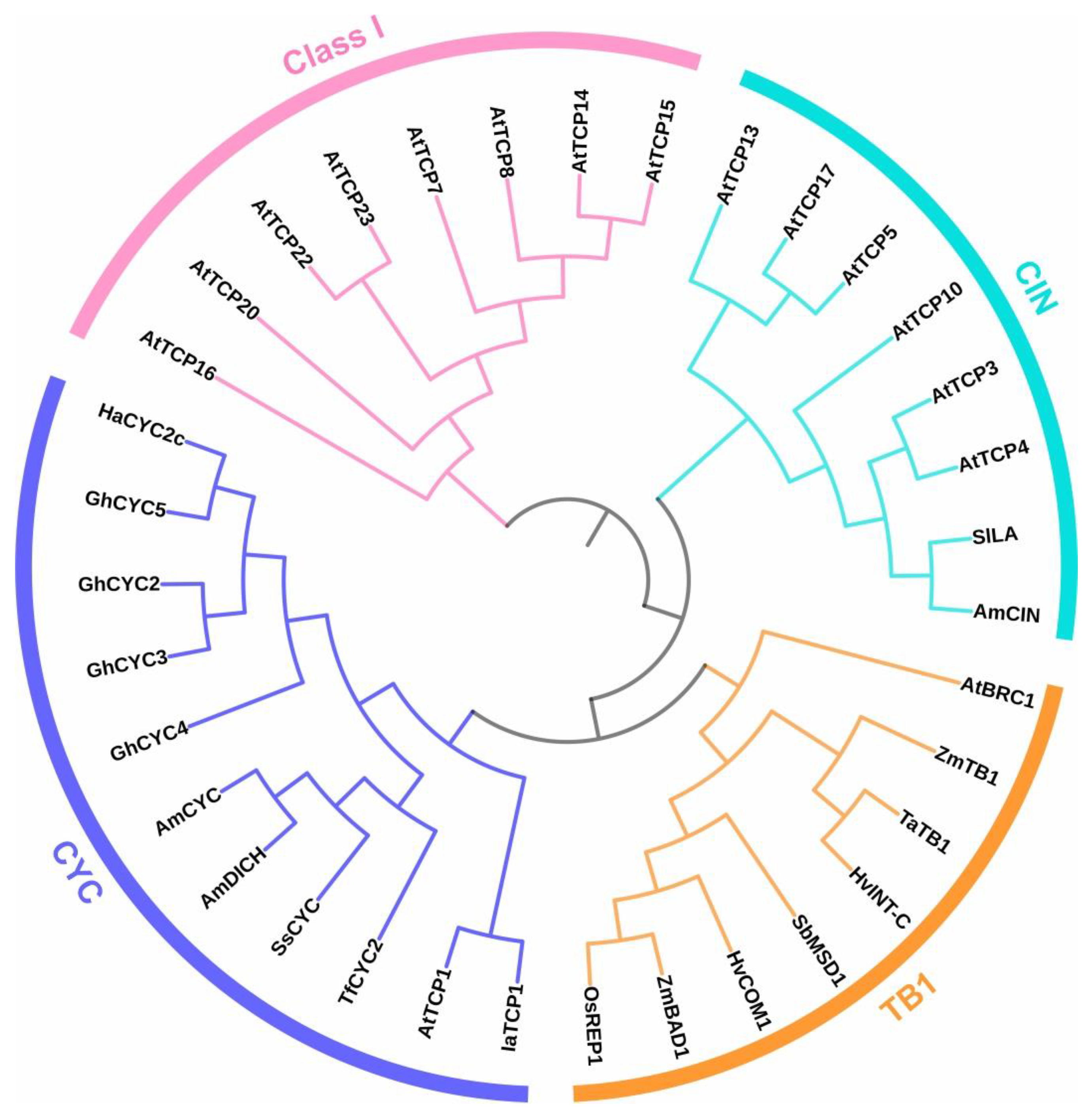 Biomolecules 13 00750 g001
