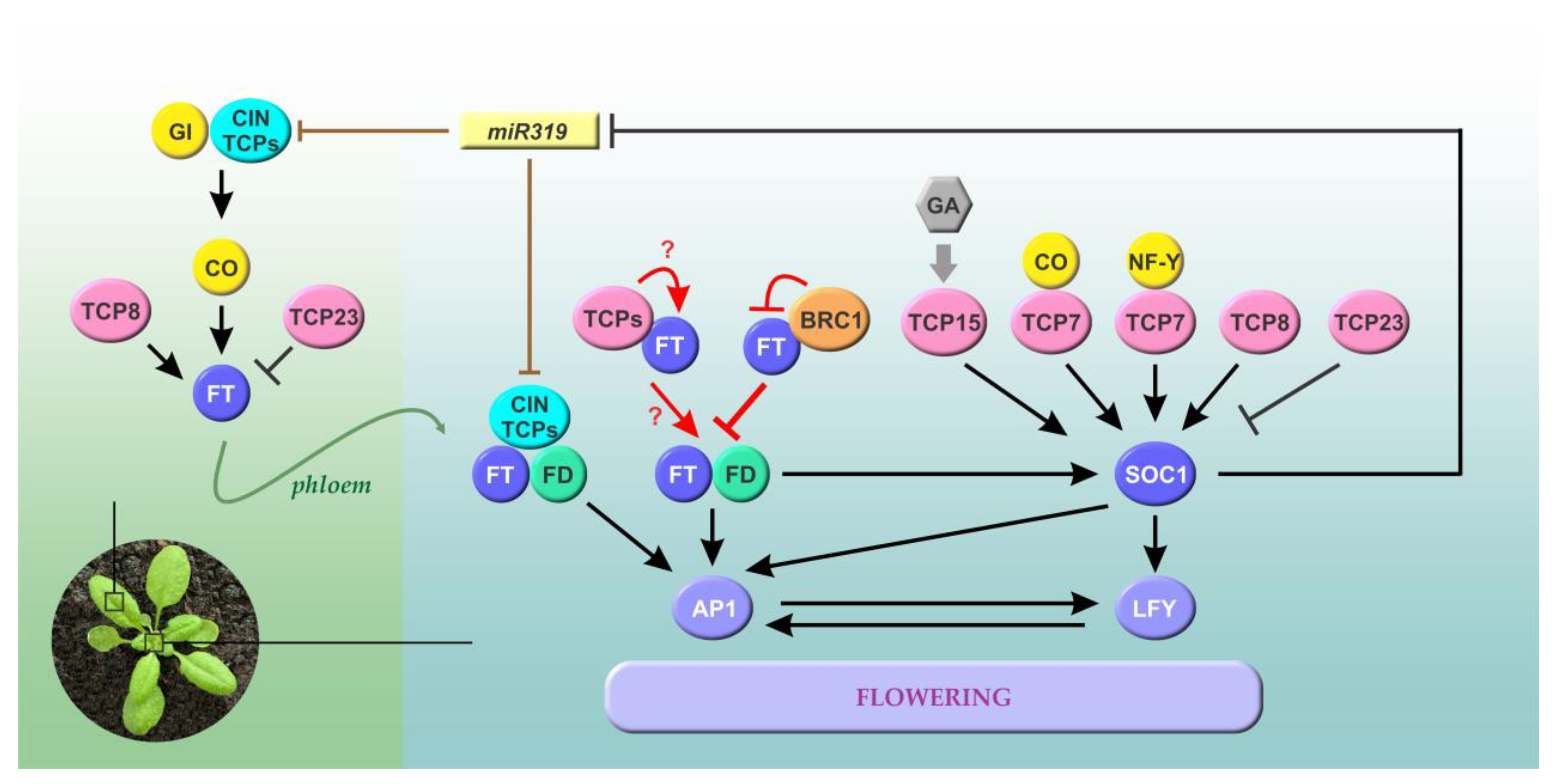 Biomolecules 13 00750 g002