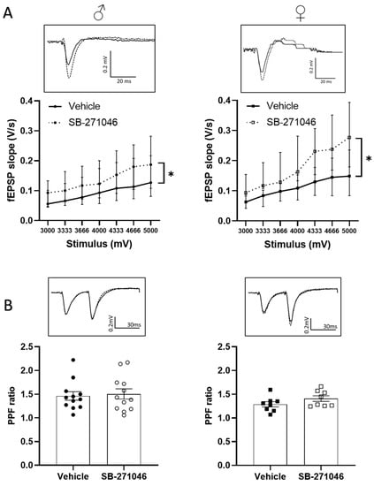 Biomolecules Free Full Text 5 Ht6 Receptors Sex Dependently Modulate Hippocampal Synaptic 6477