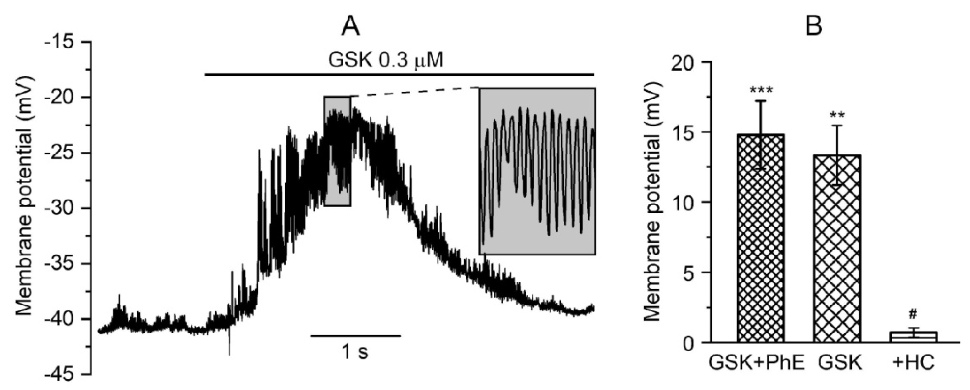 Biomolecules 13 00759 g004 Biomolecules 13 00759 g004