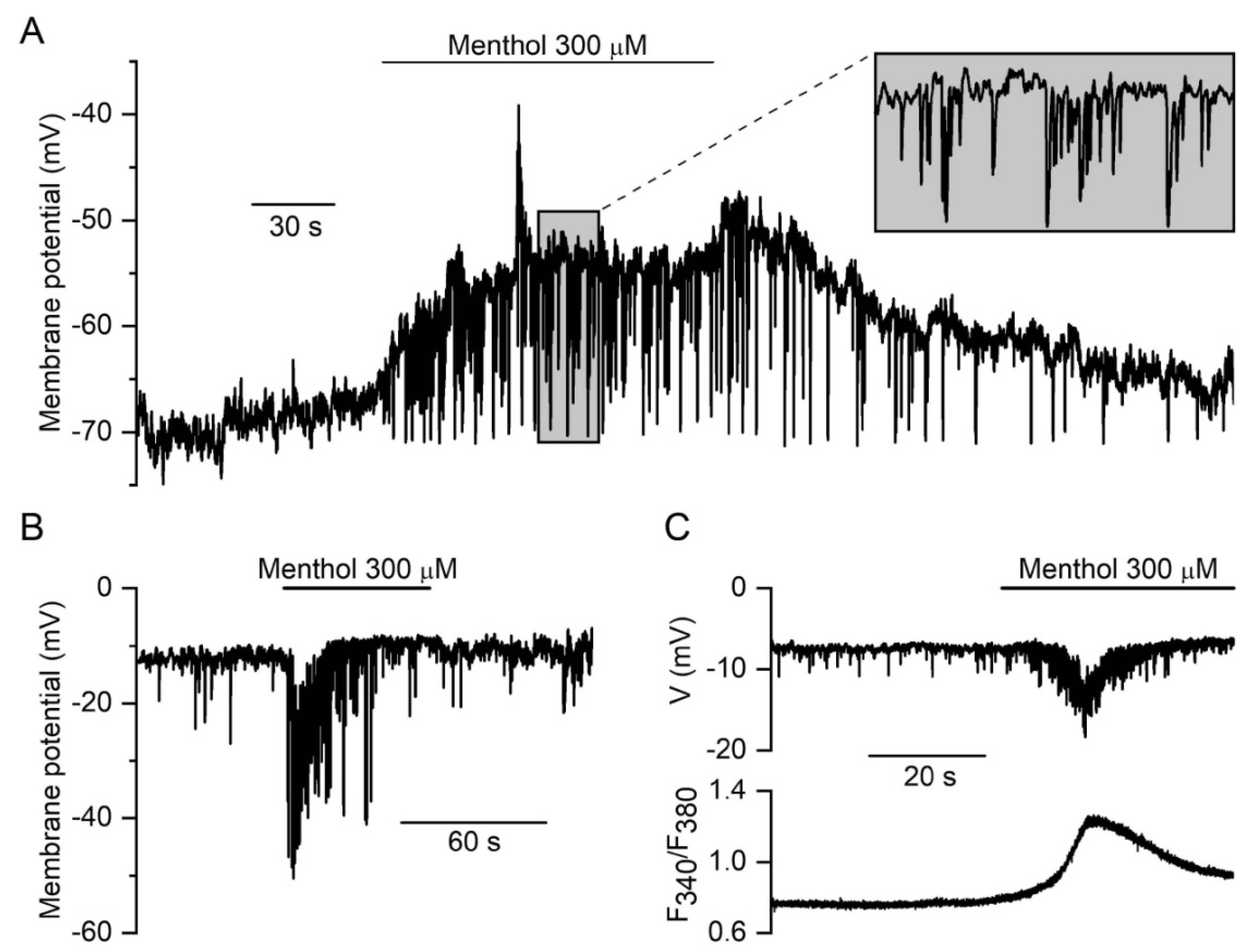 Biomolecules 13 00759 g005 Biomolecules 13 00759 g005