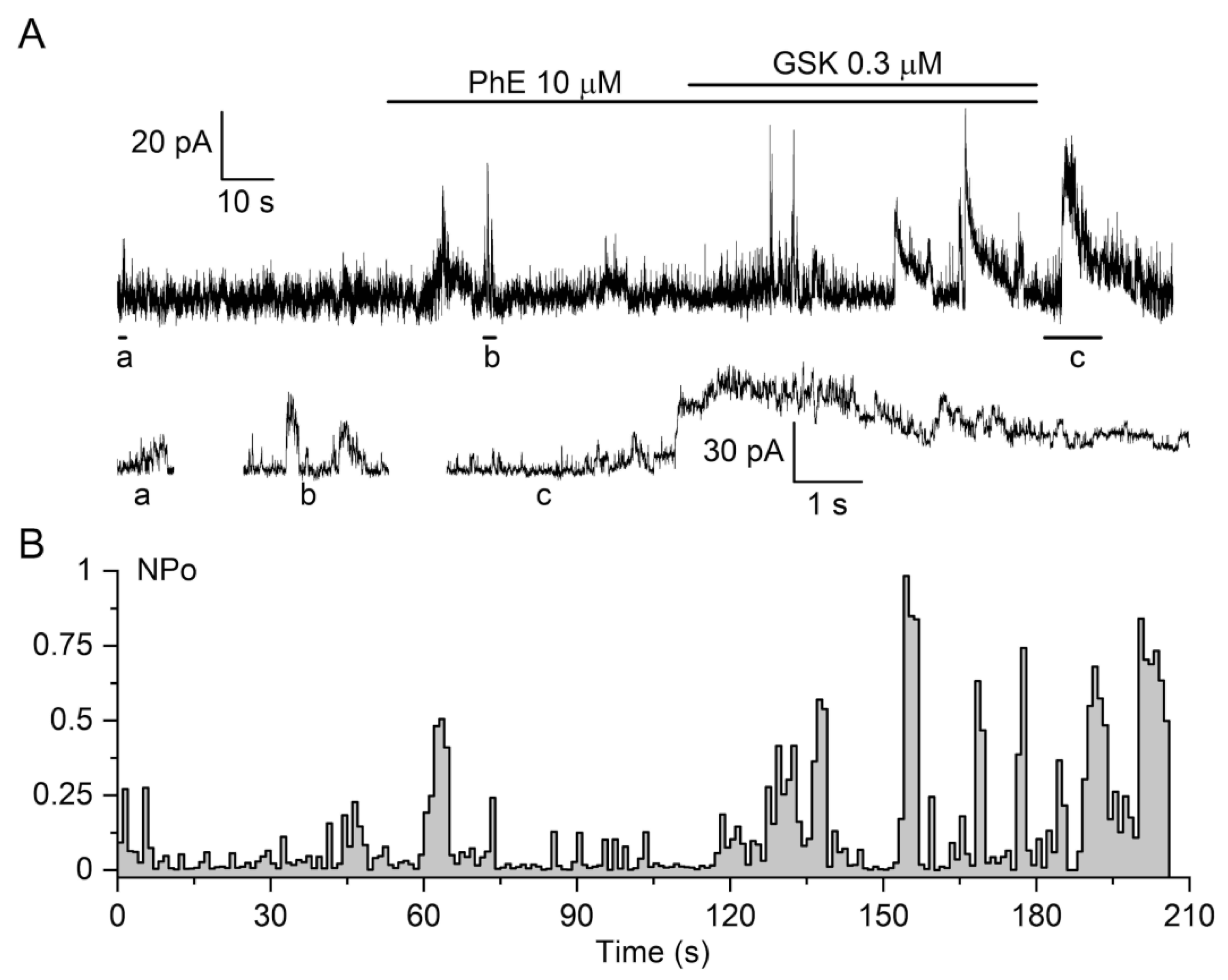 Biomolecules 13 00759 g006 Biomolecules 13 00759 g006
