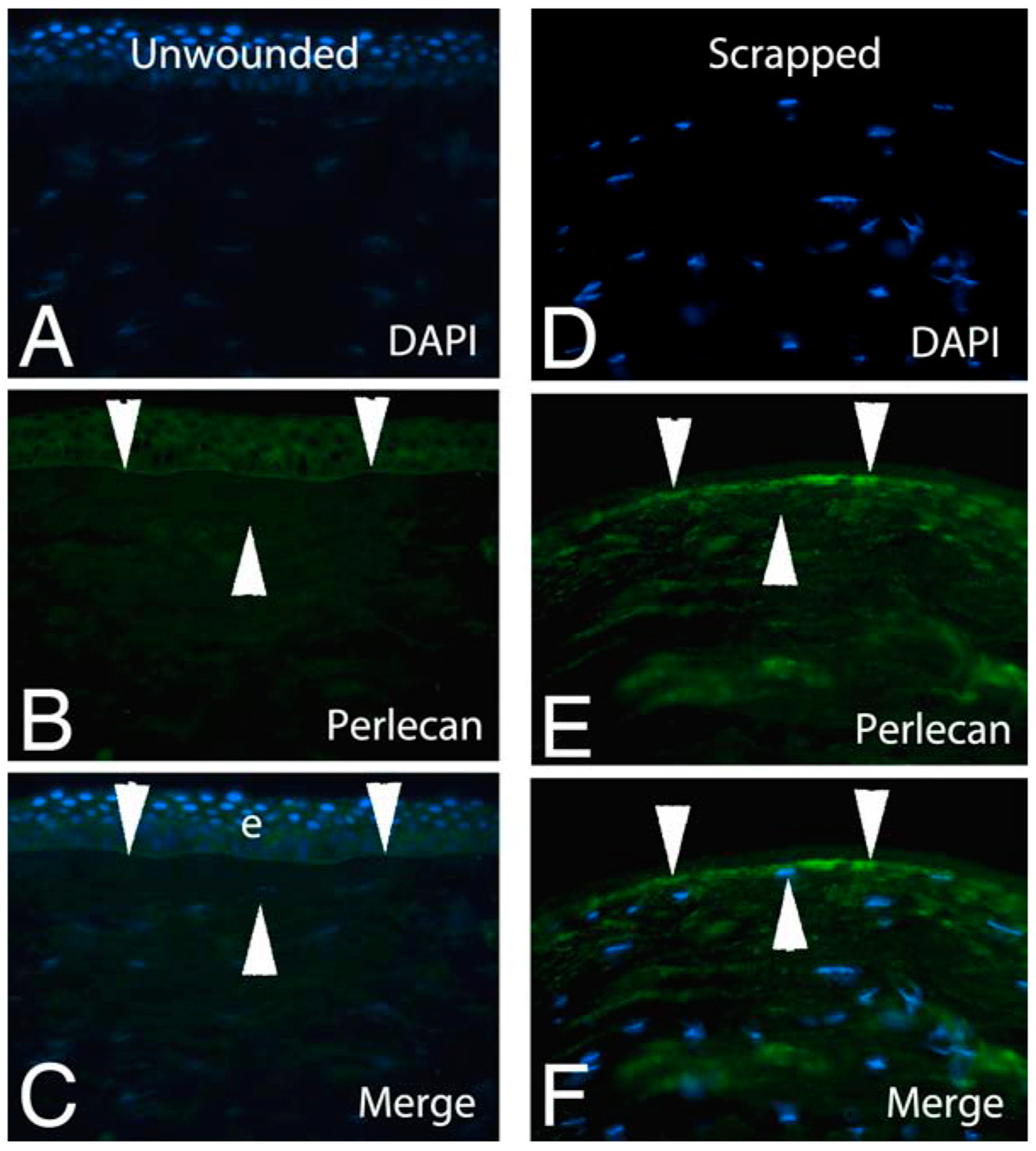 Biomolecules 13 00771 g002 Biomolecules 13 00771 g002
