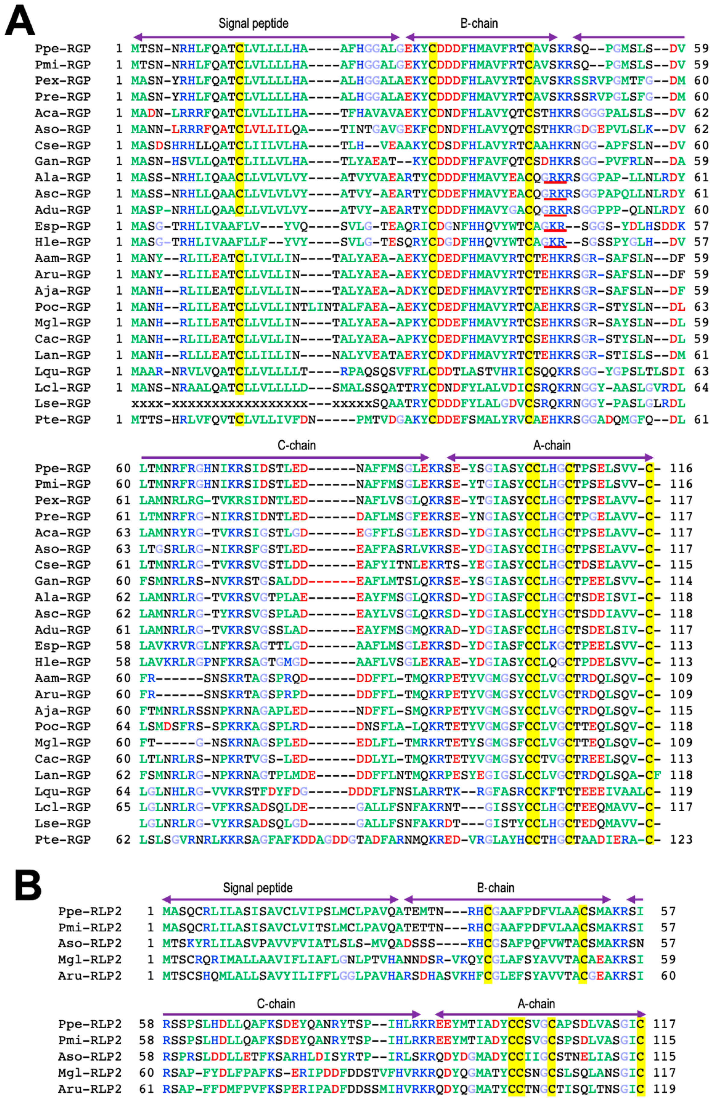 Biomolecules 13 00781 g003