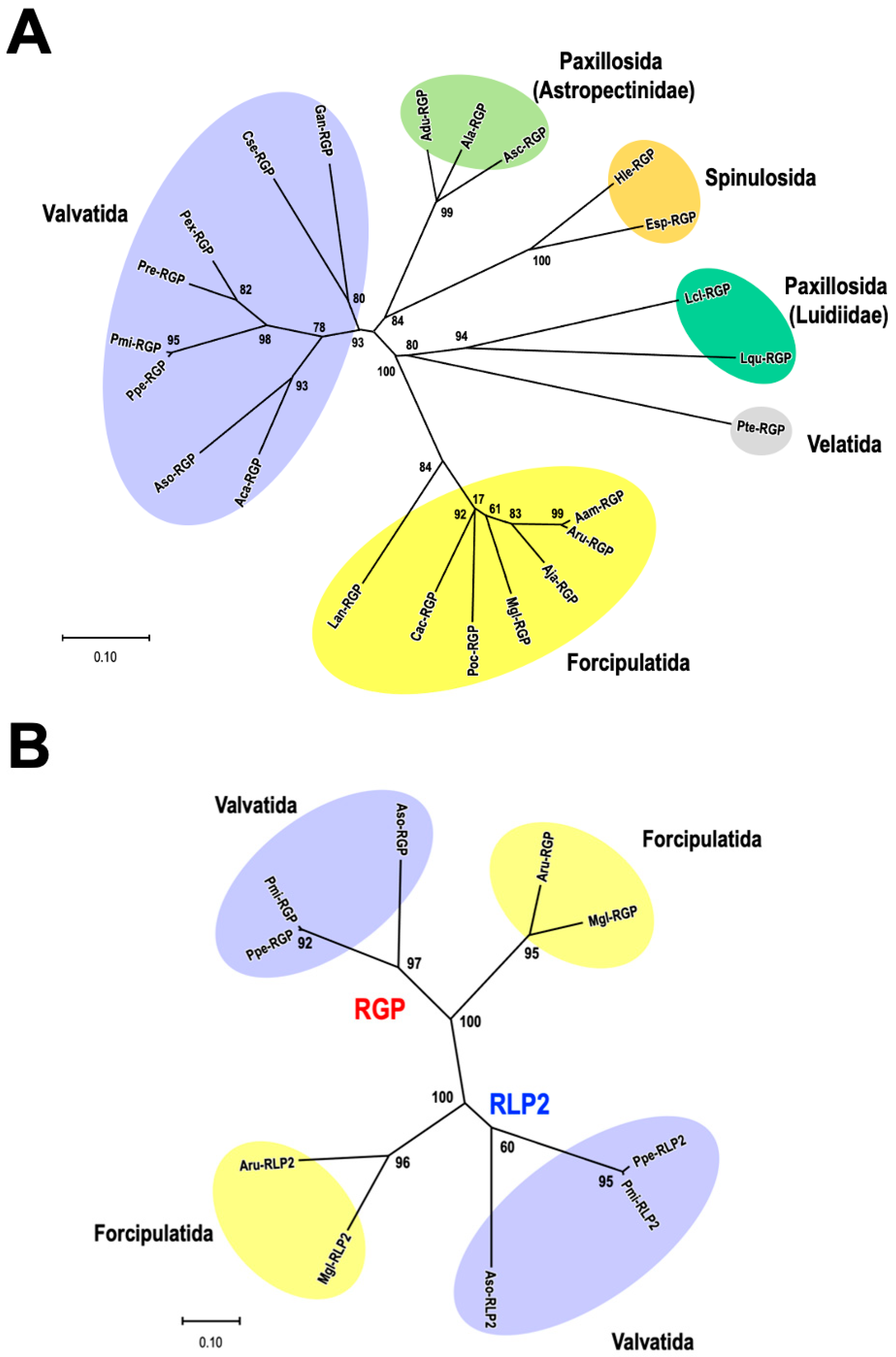 Biomolecules 13 00781 g004