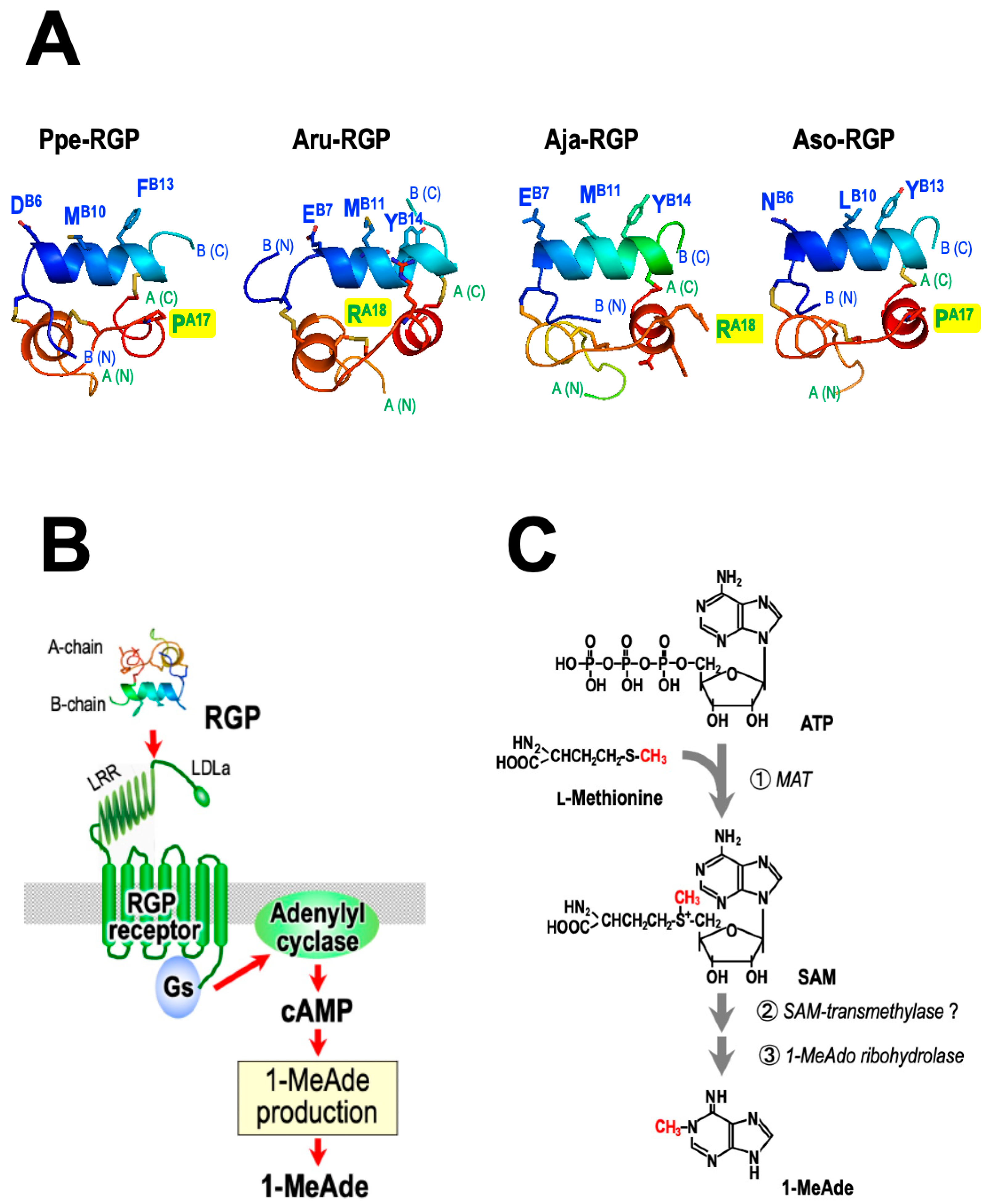 Biomolecules 13 00781 g006