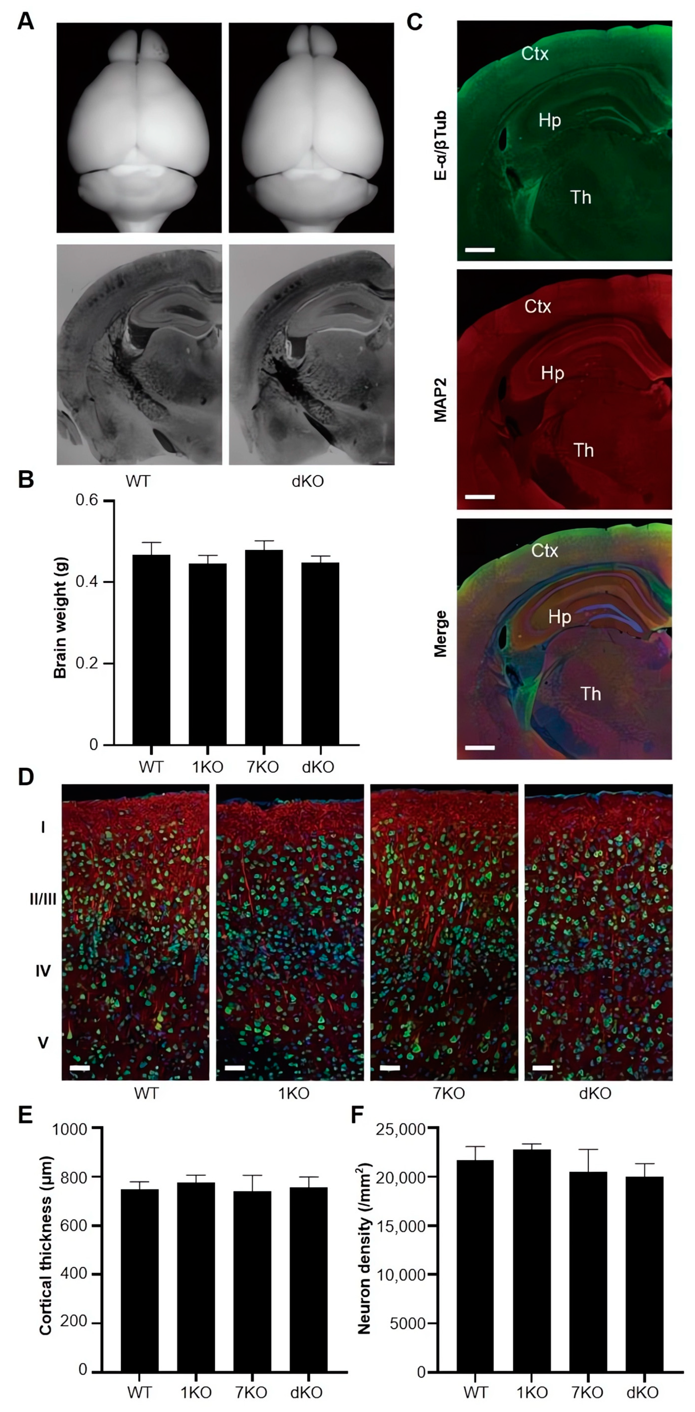 Biomolecules 13 00784 g004 Biomolecules 13 00784 g004