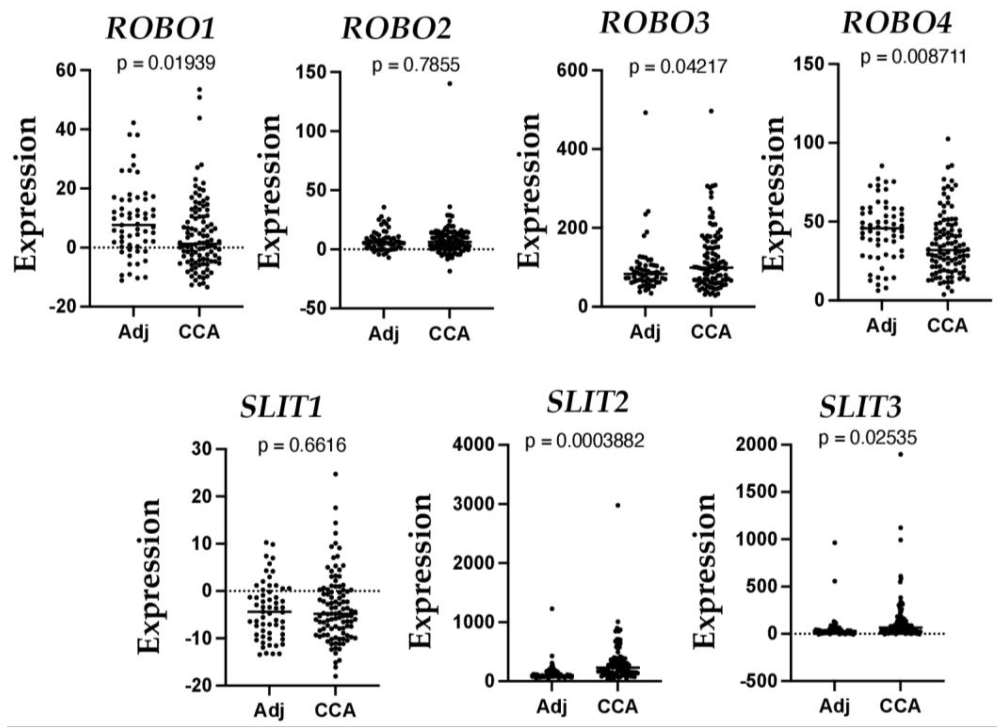Biomolecules 13 00785 g003 Biomolecules 13 00785 g003