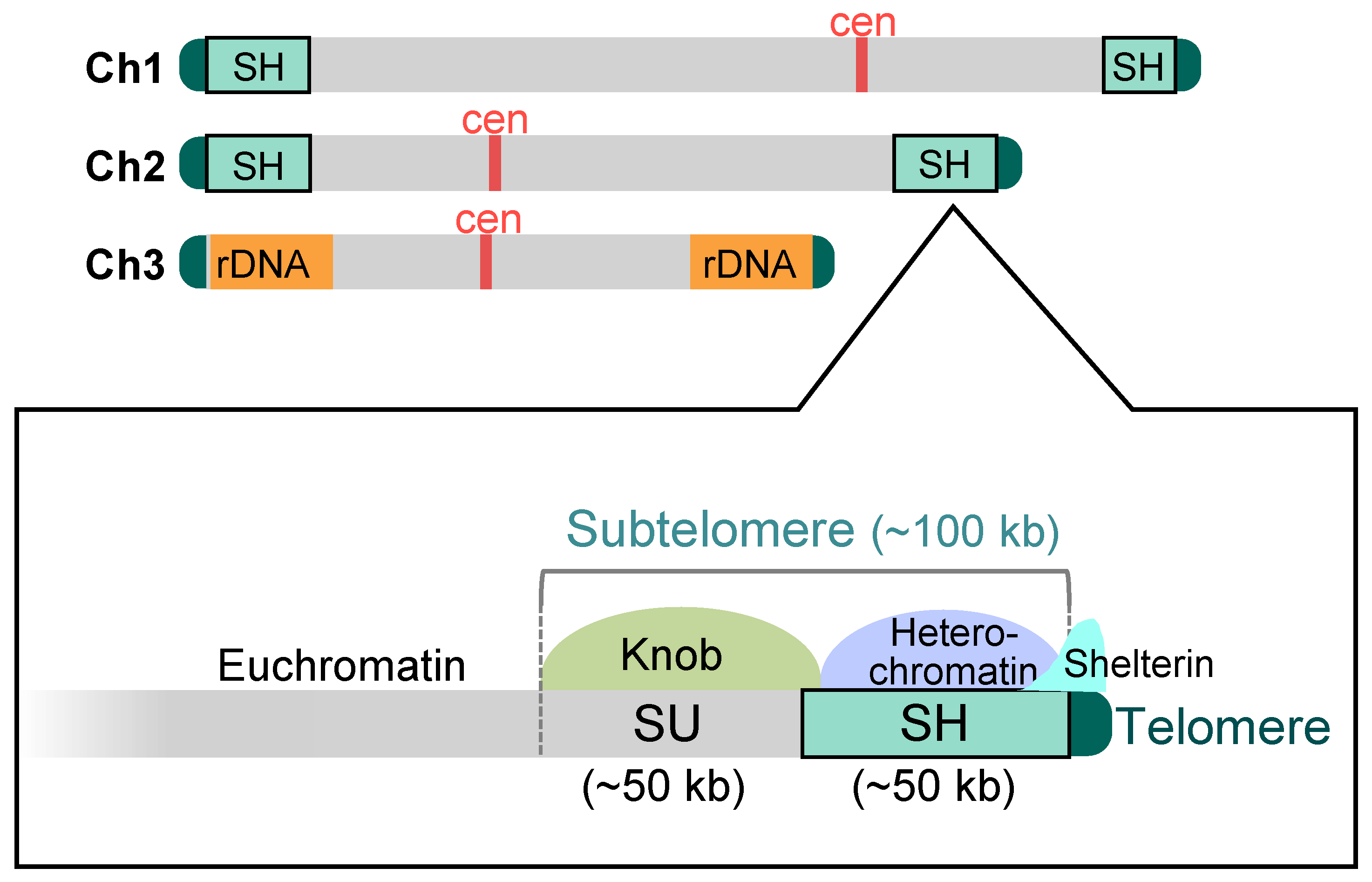 Biomolecules 13 00810 g002 Biomolecules 13 00810 g002