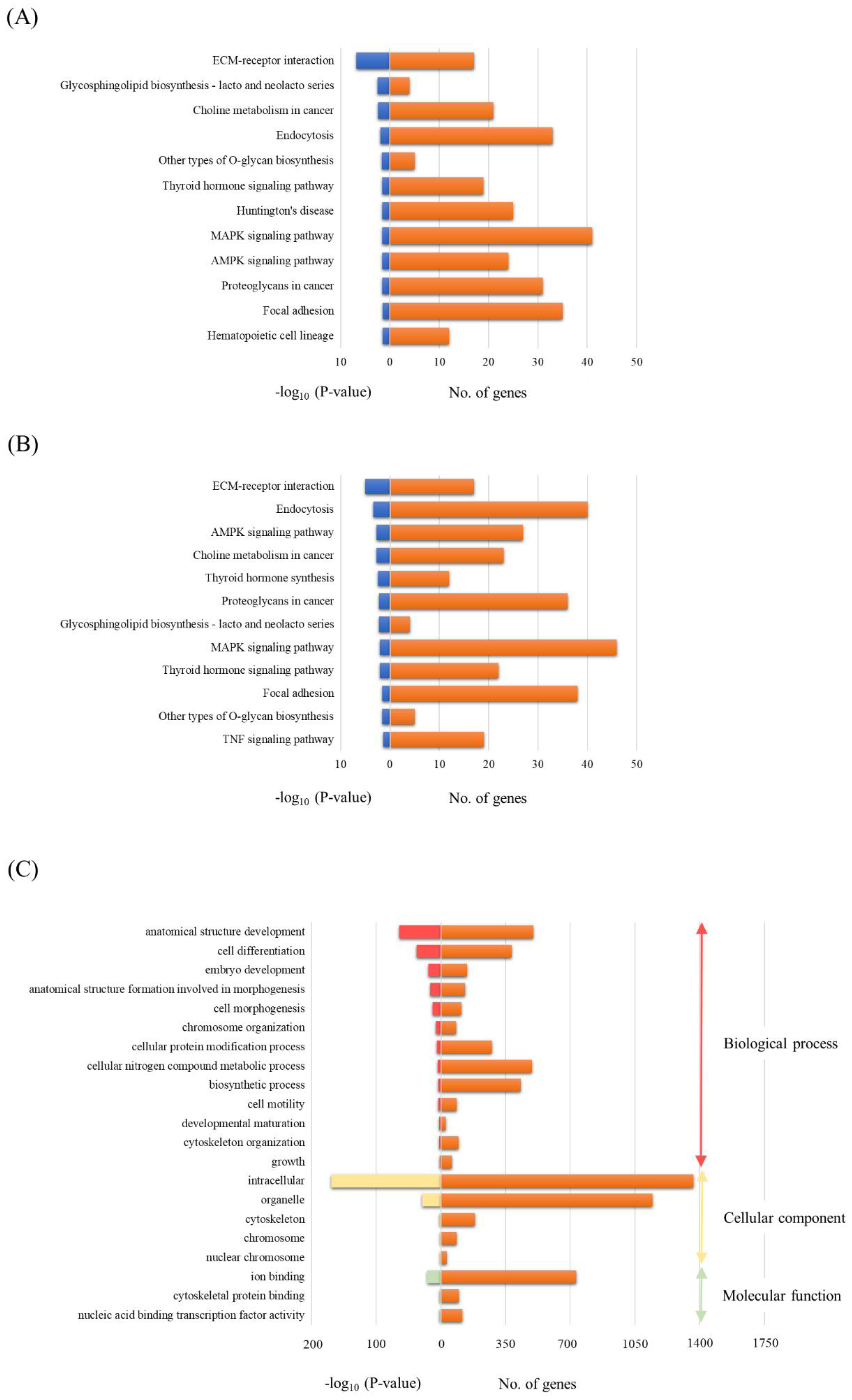 Biomolecules 13 00837 g004