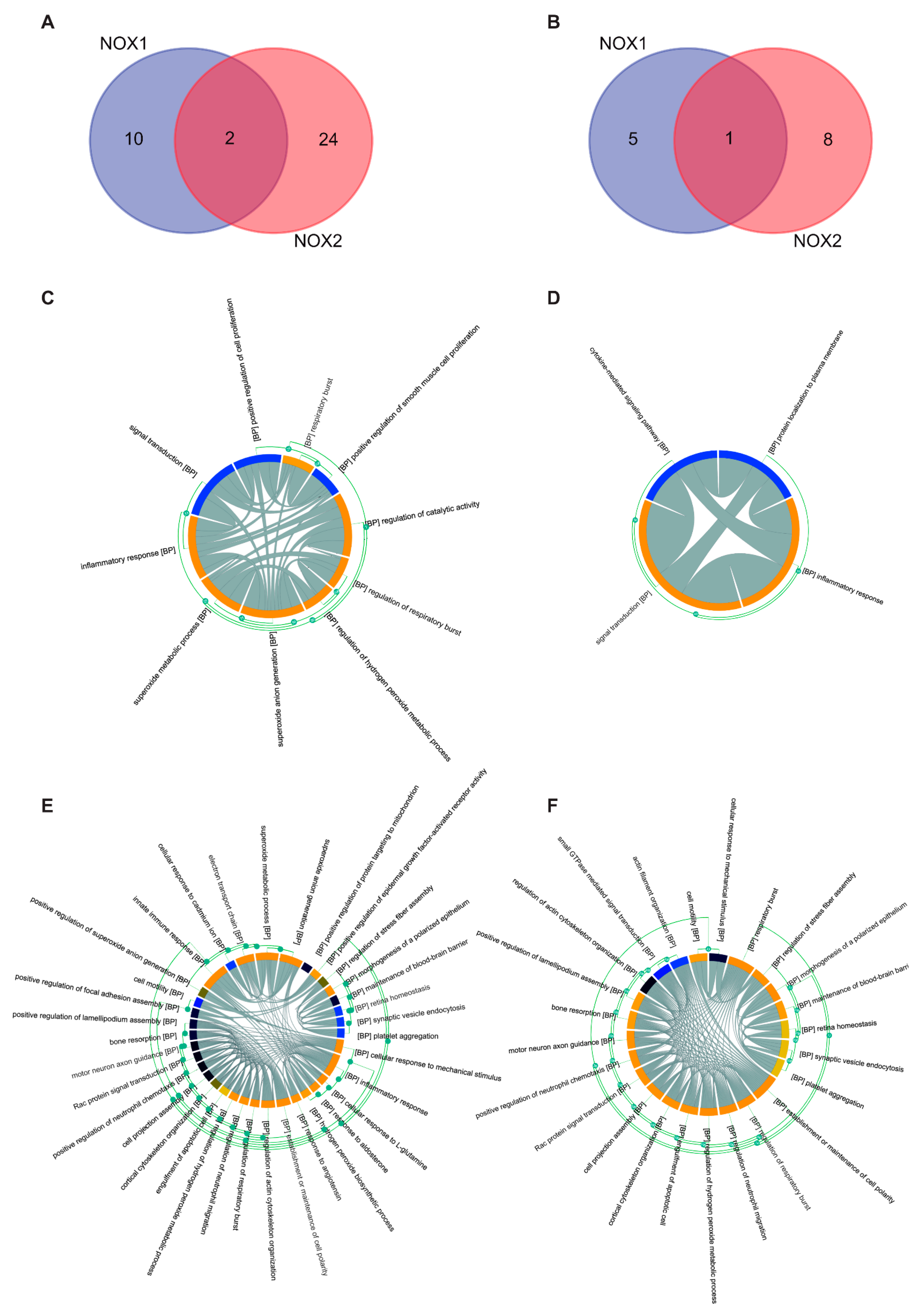 Biomolecules 13 00848 g007 Biomolecules 13 00848 g007