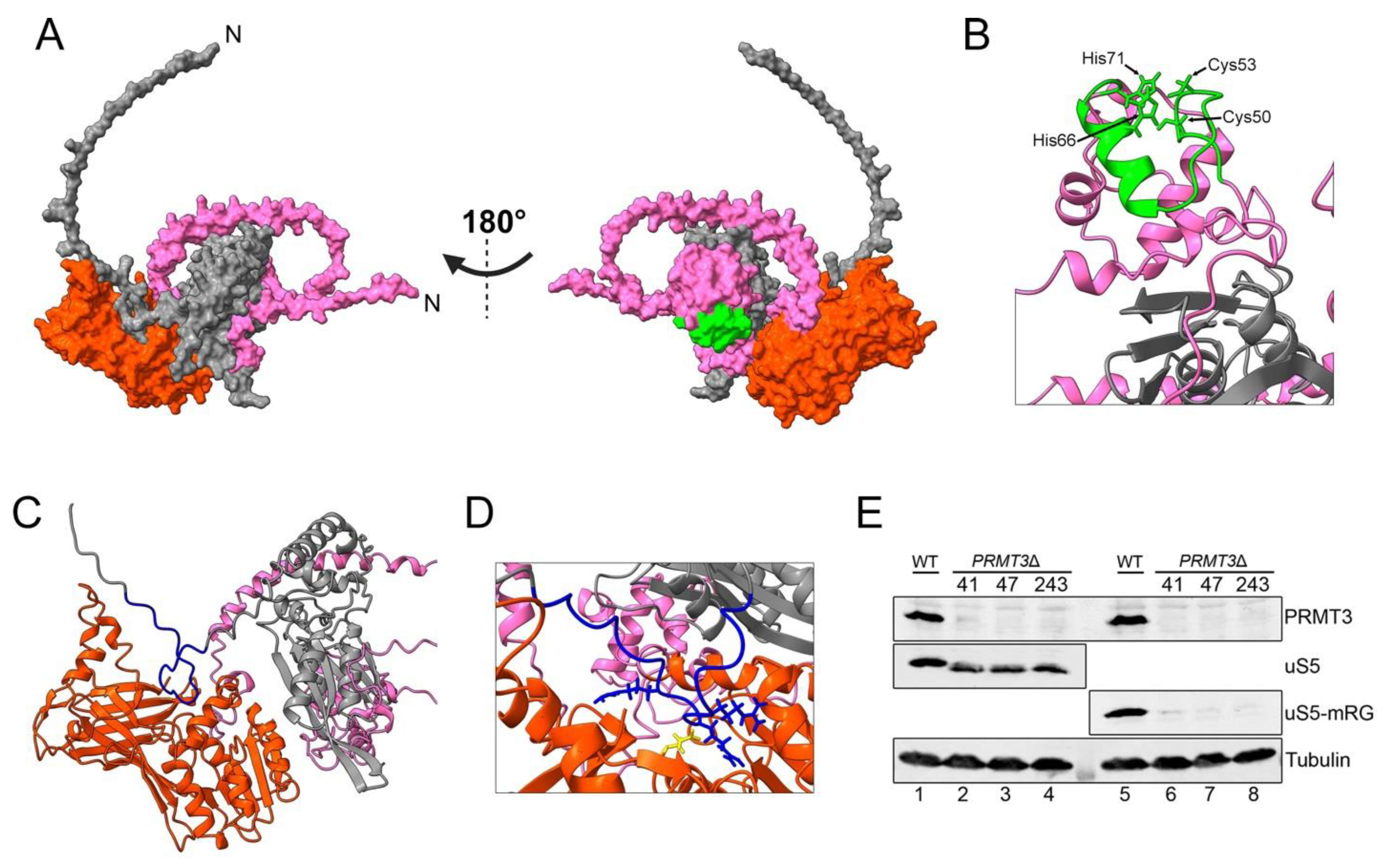 Biomolecules 13 00853 g005