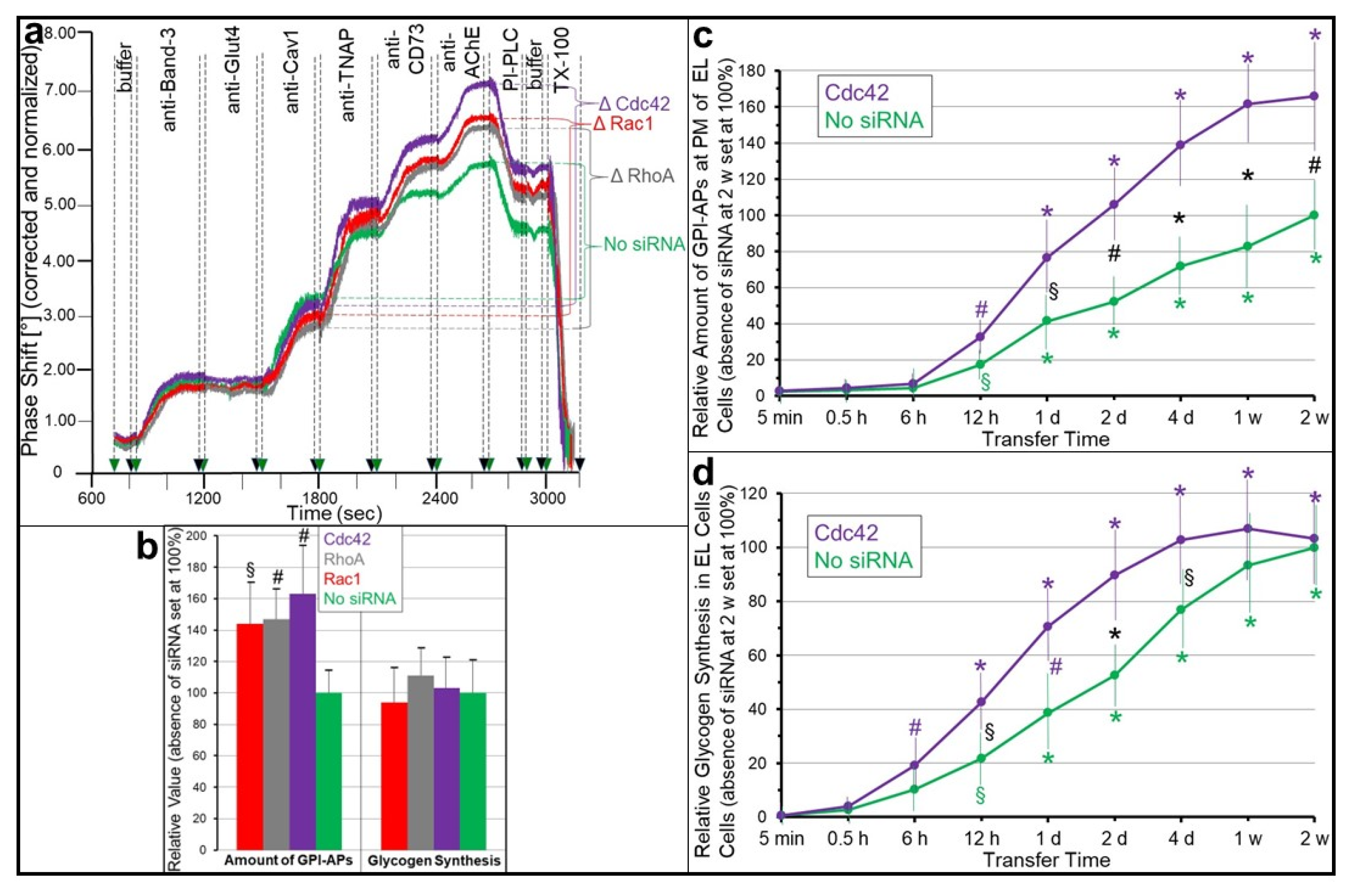 Biomolecules 13 00855 g003 Biomolecules 13 00855 g003