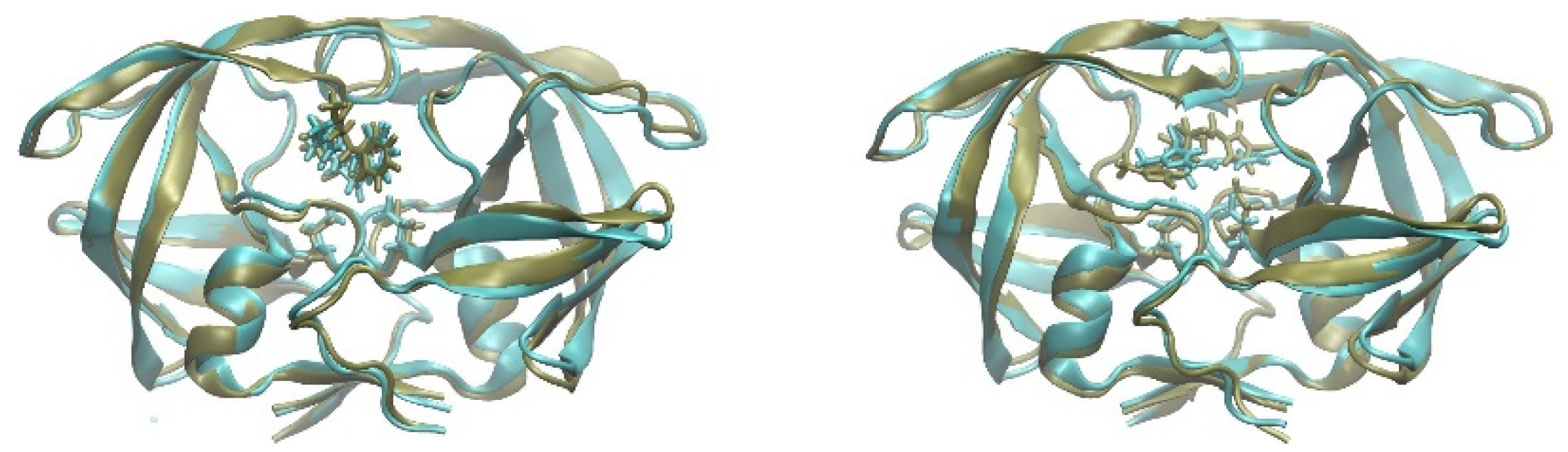 Biomolecules 13 00858 g003 Biomolecules 13 00858 g003