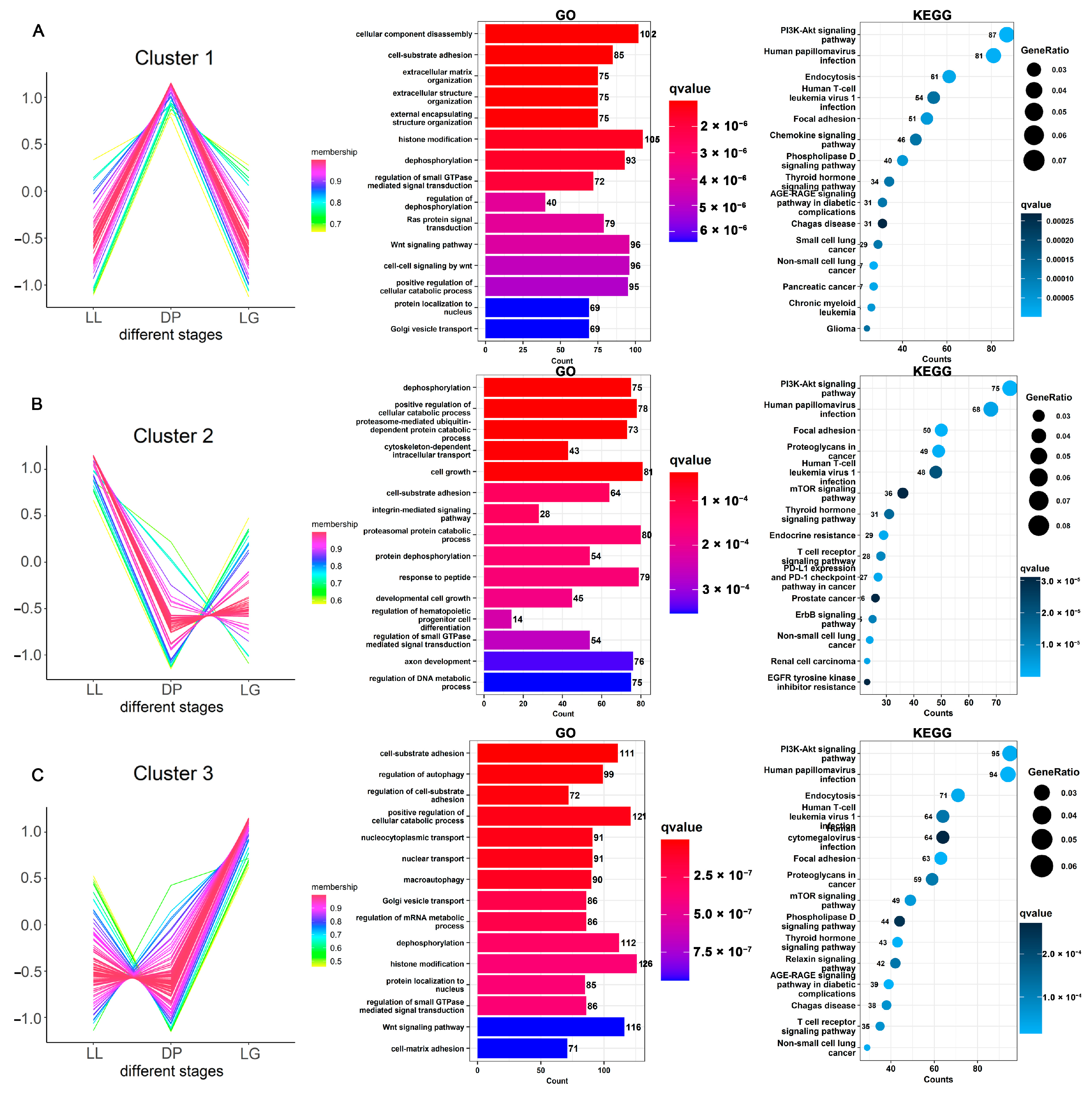 Biomolecules 13 00860 g004 Biomolecules 13 00860 g004