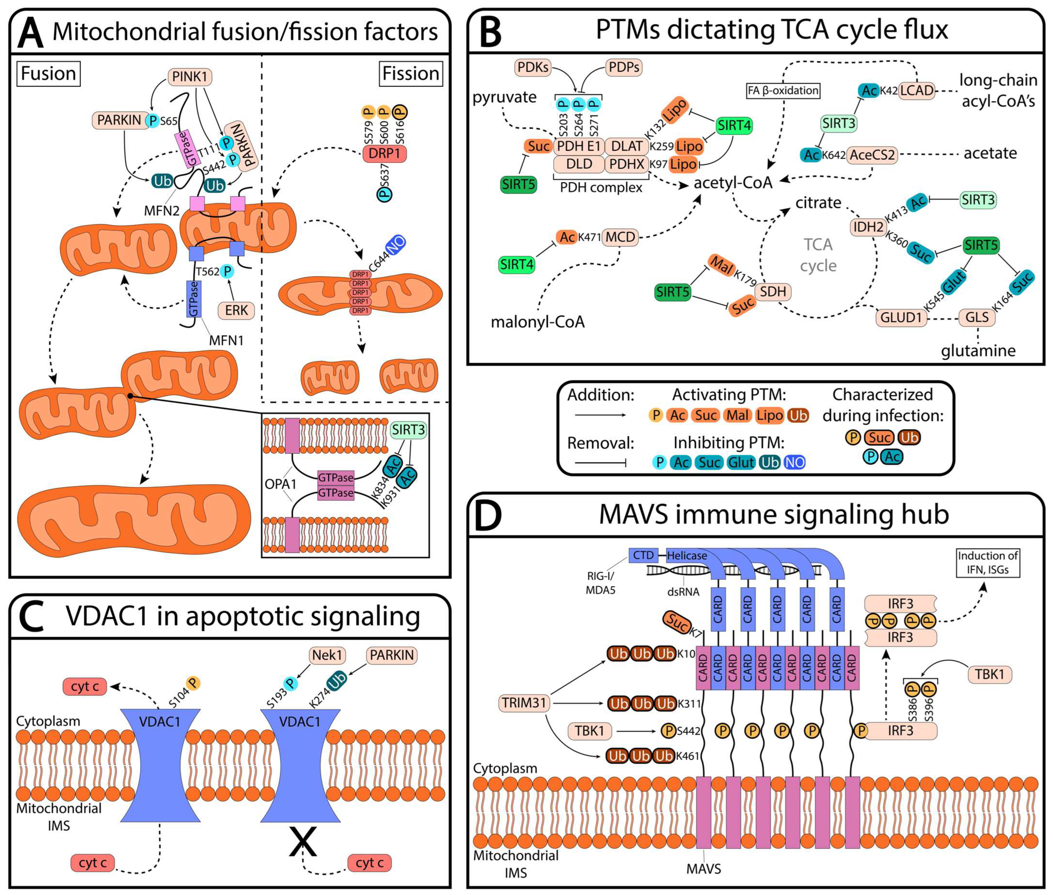 Biomolecules 13 00869 g001 Biomolecules 13 00869 g001