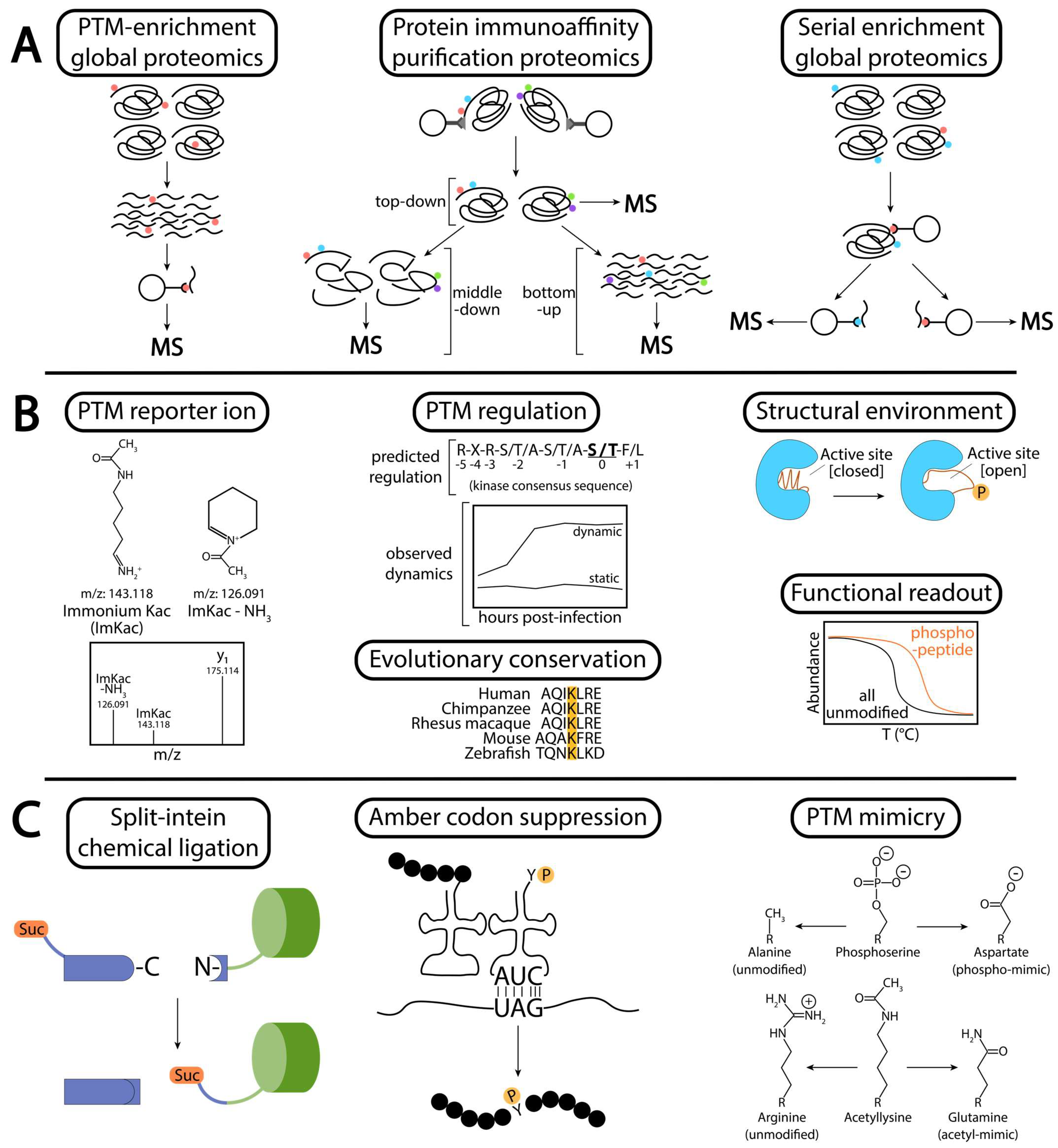 Biomolecules 13 00869 g002 Biomolecules 13 00869 g002