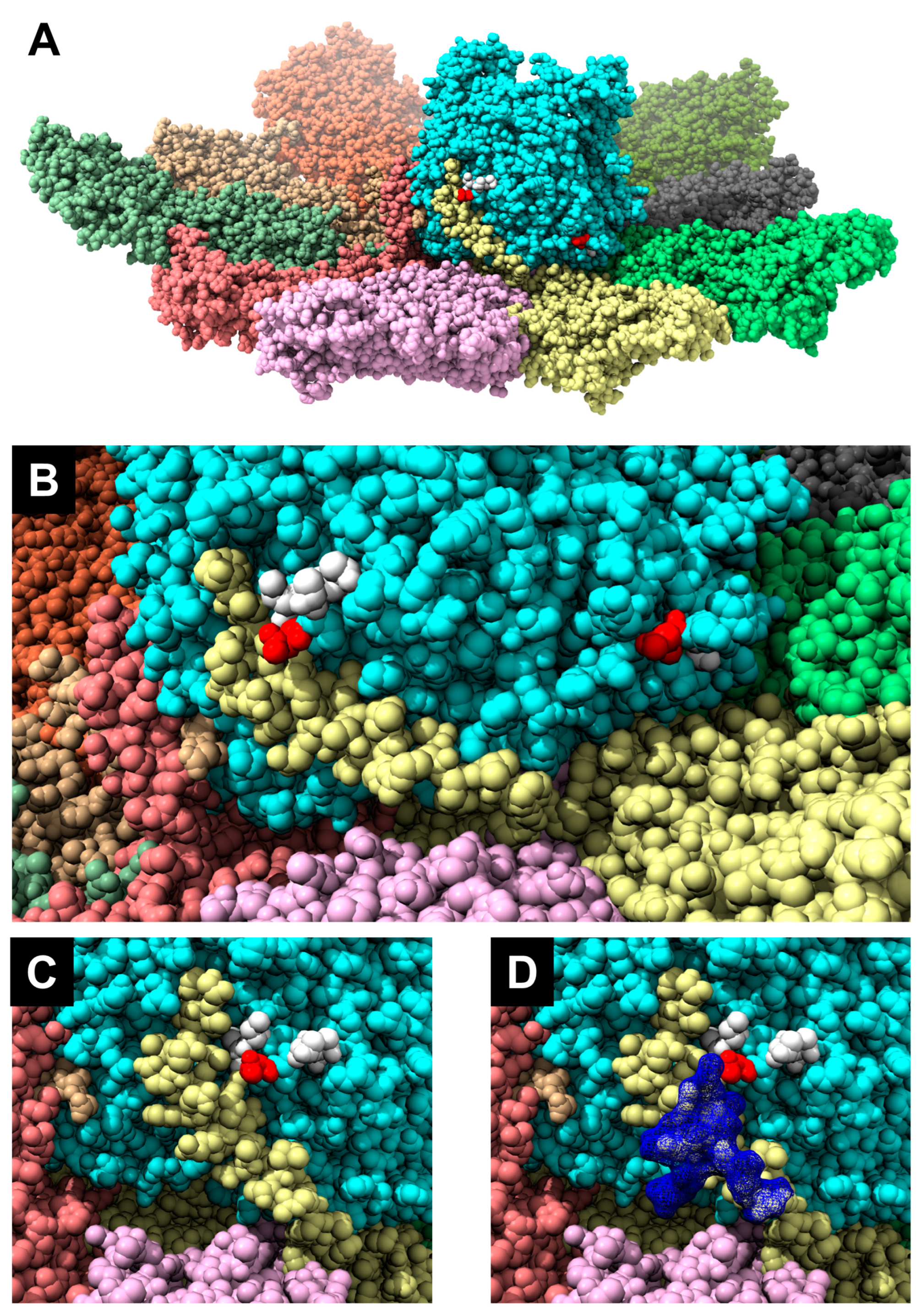 Biomolecules 13 00878 g007