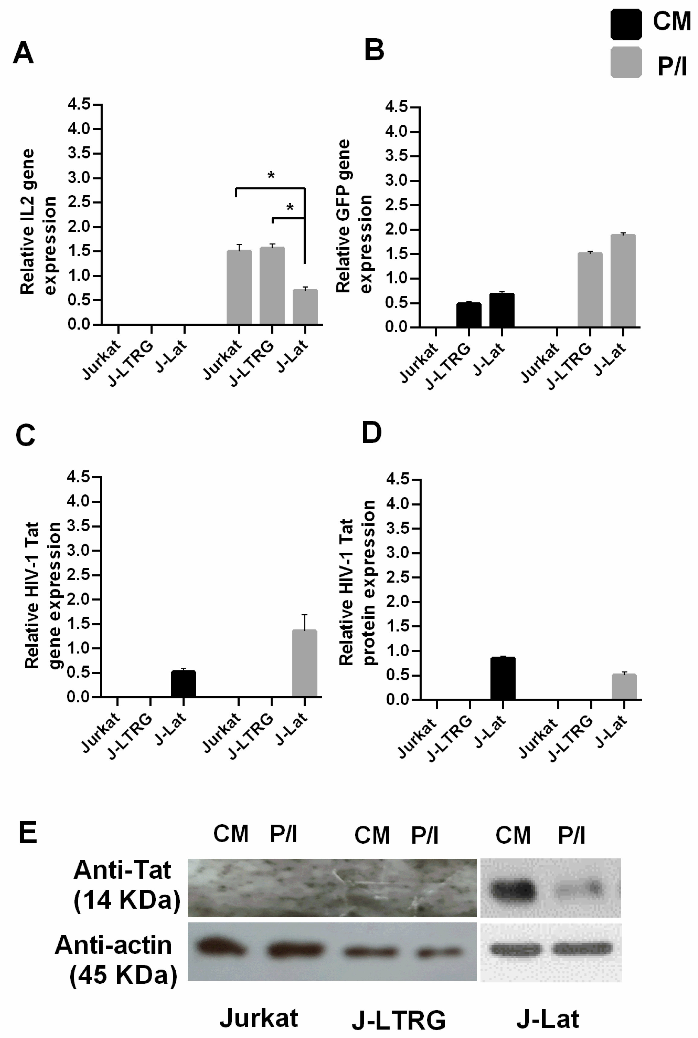 Biomolecules 13 00881 g001 Biomolecules 13 00881 g001