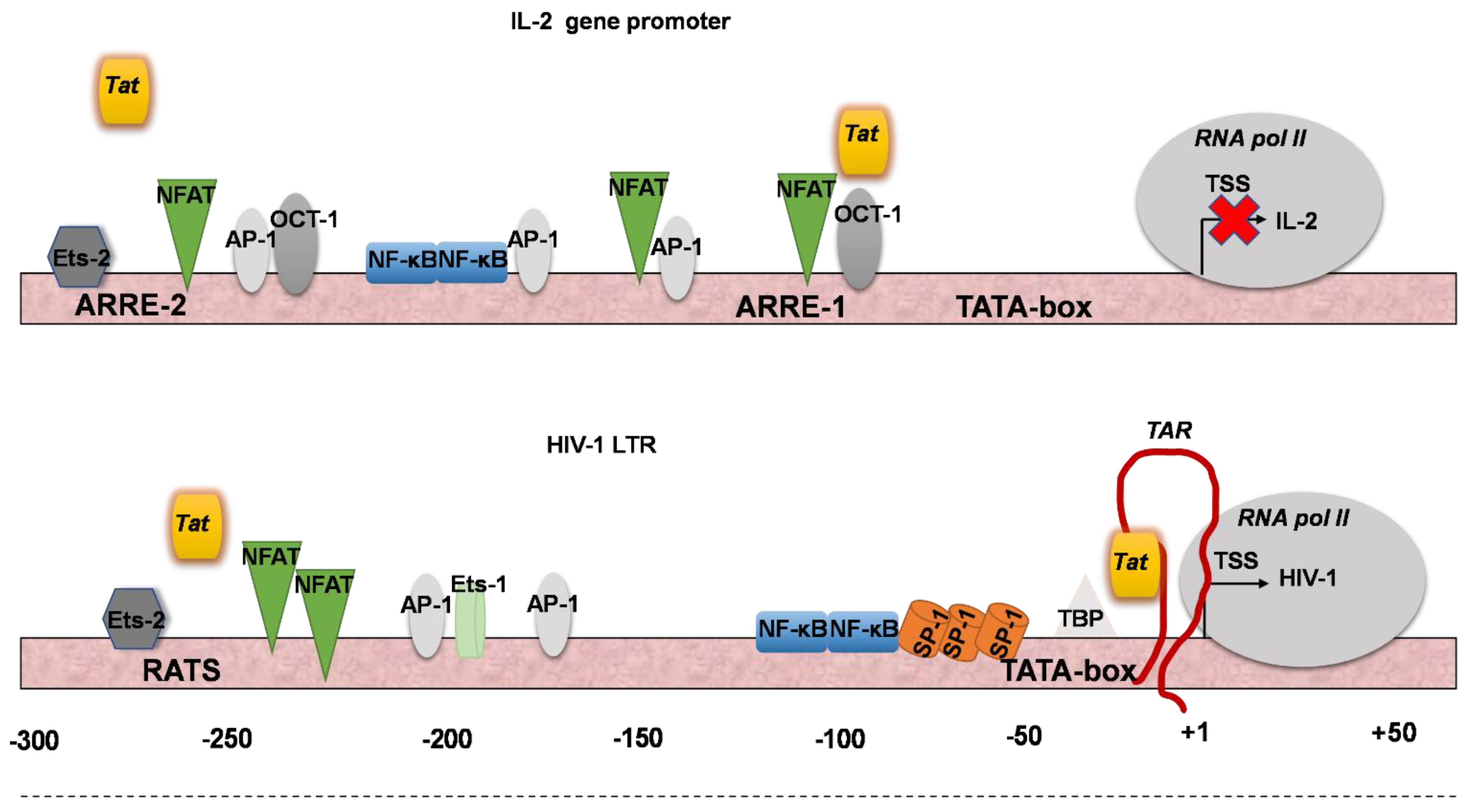 Biomolecules 13 00881 g005 Biomolecules 13 00881 g005