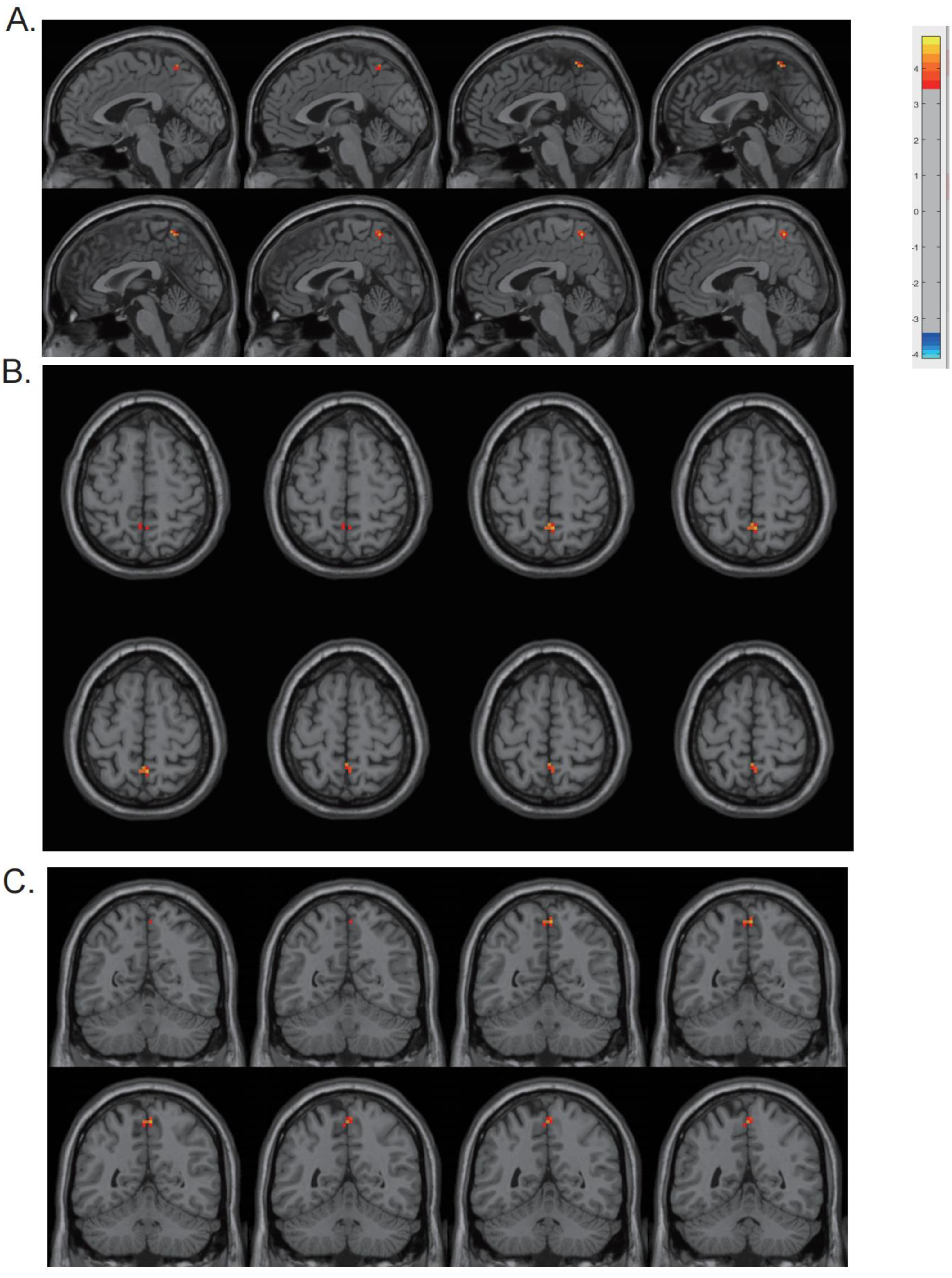Biomolecules 13 00888 g002 Biomolecules 13 00888 g002