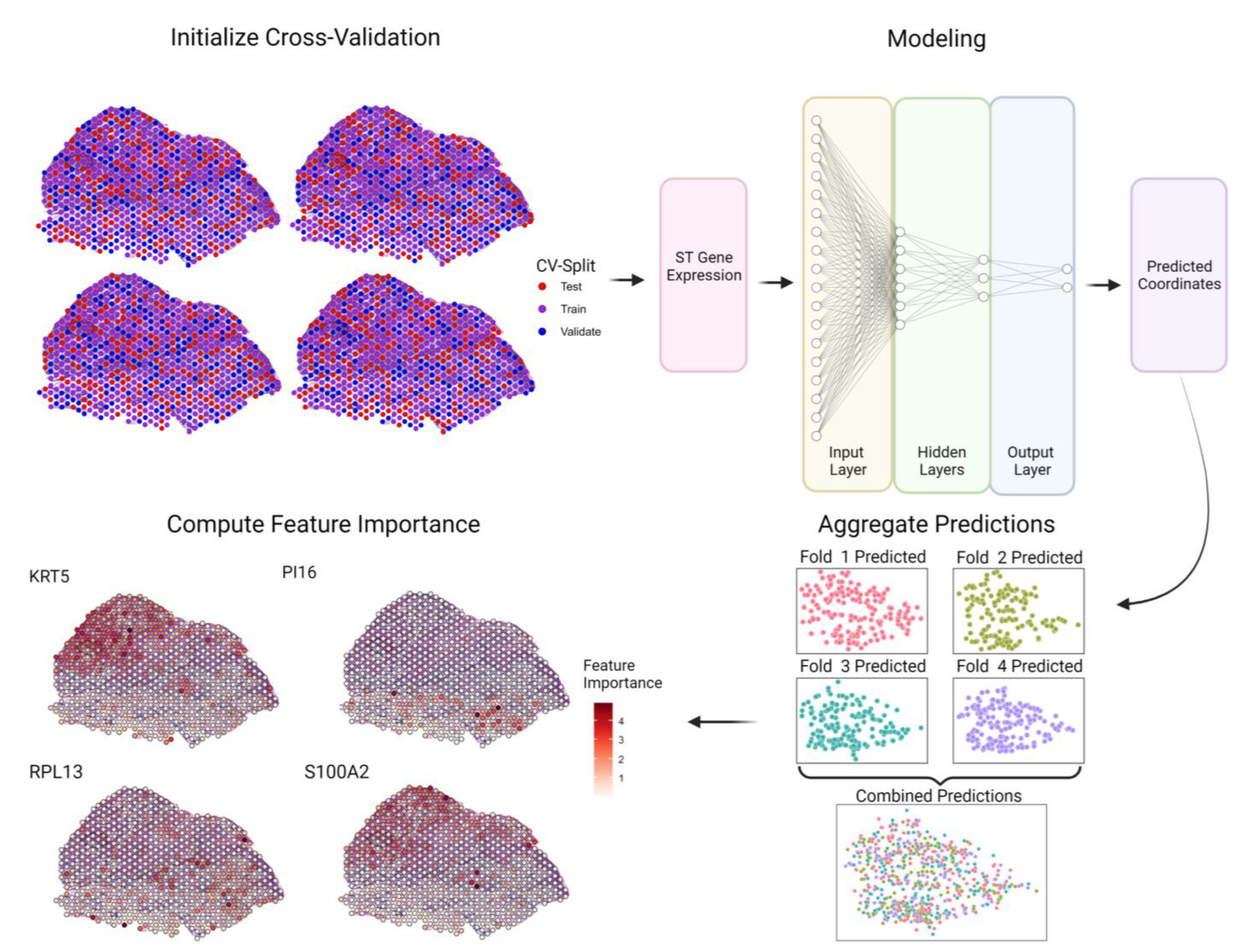 Biomolecules 13 00895 g001