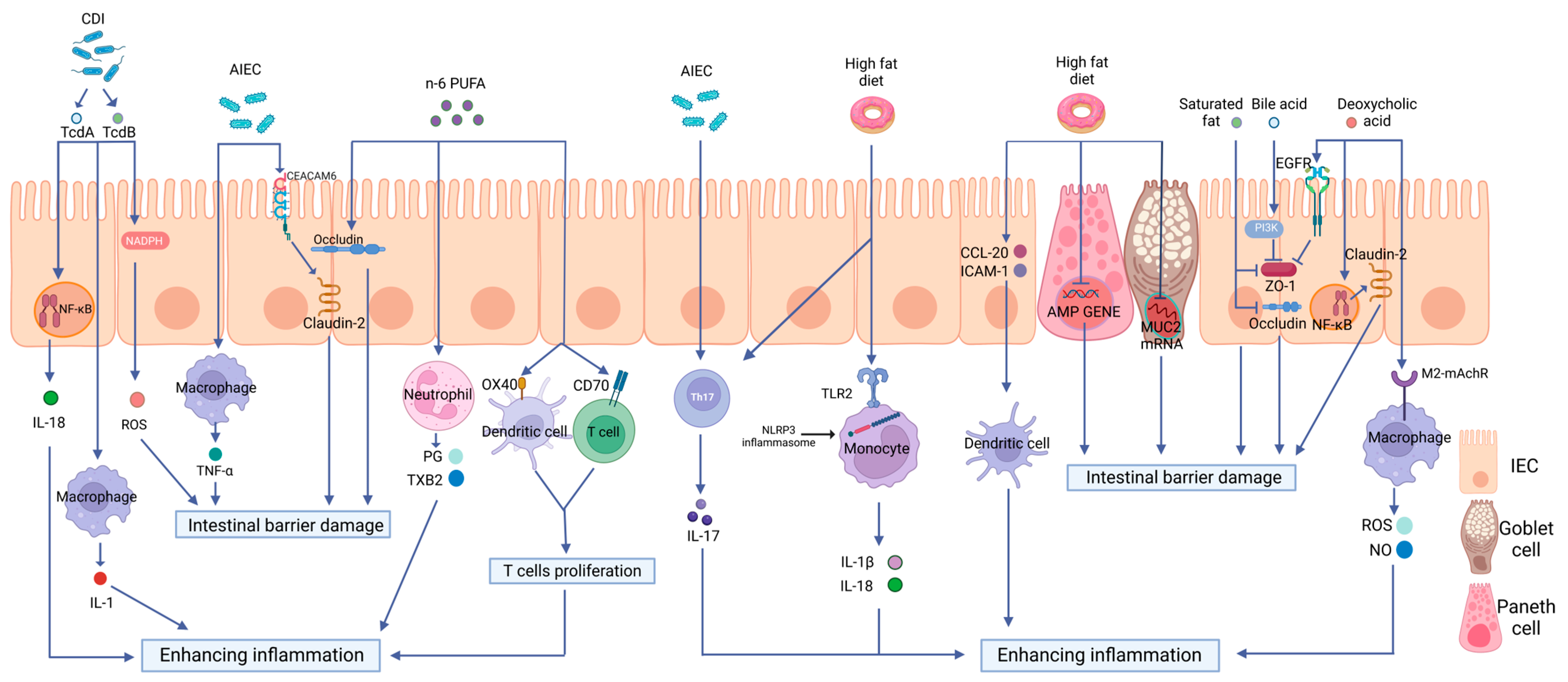 Biomolecules 13 00905 g002 Biomolecules 13 00905 g002