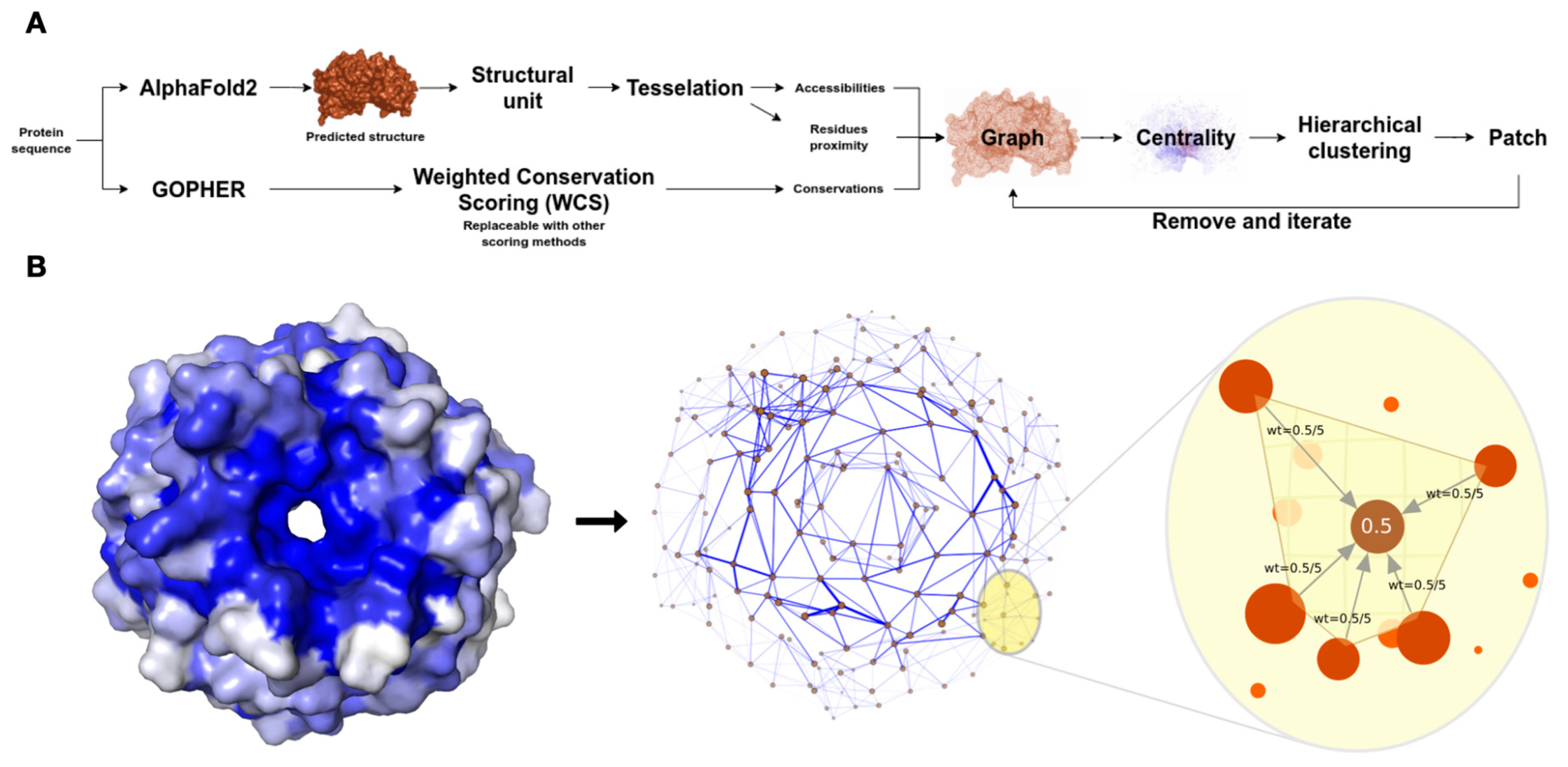 A, The color scale of protein variability and conservancy obtained from