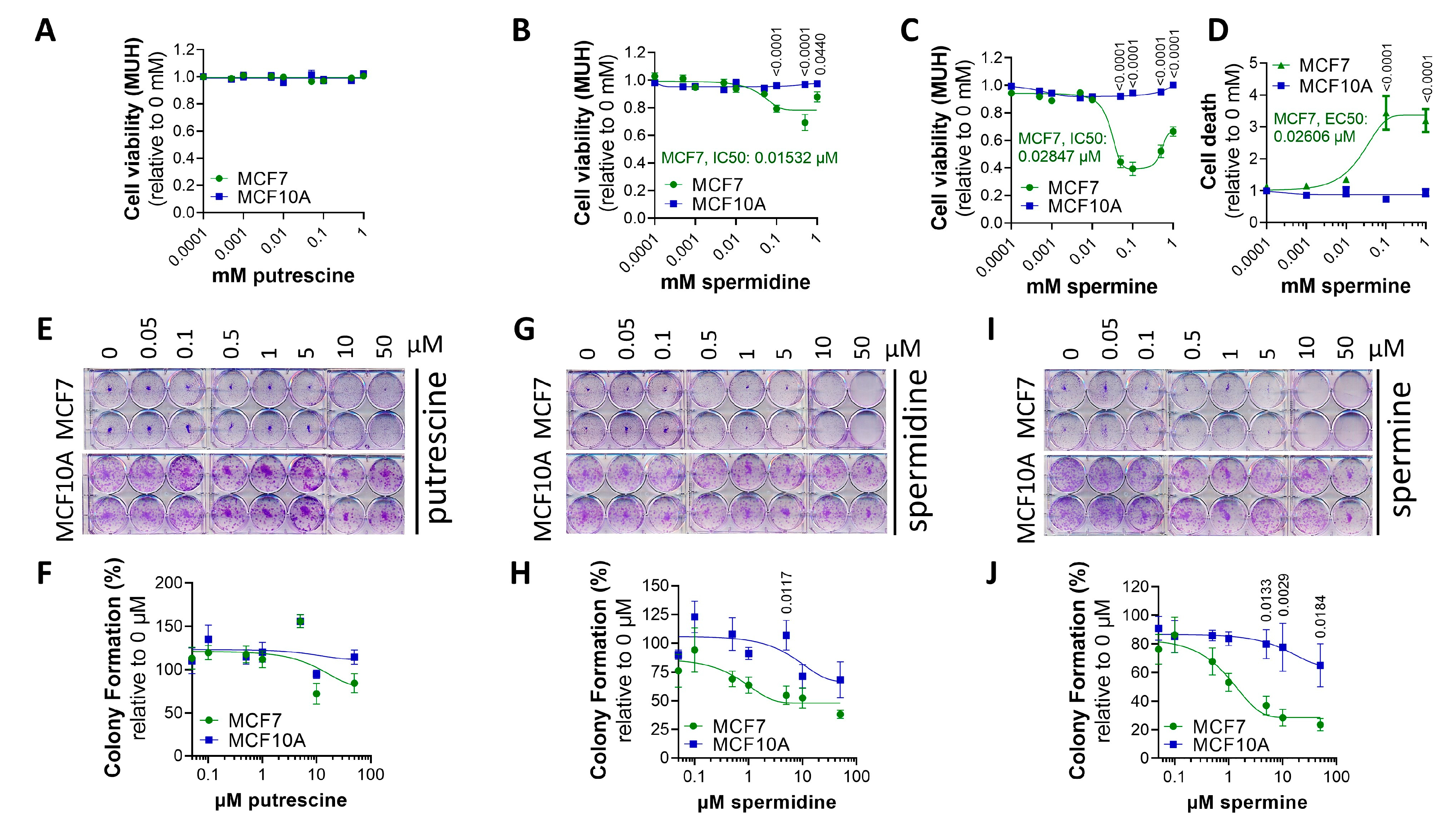 Biomolecules 13 00918 g003