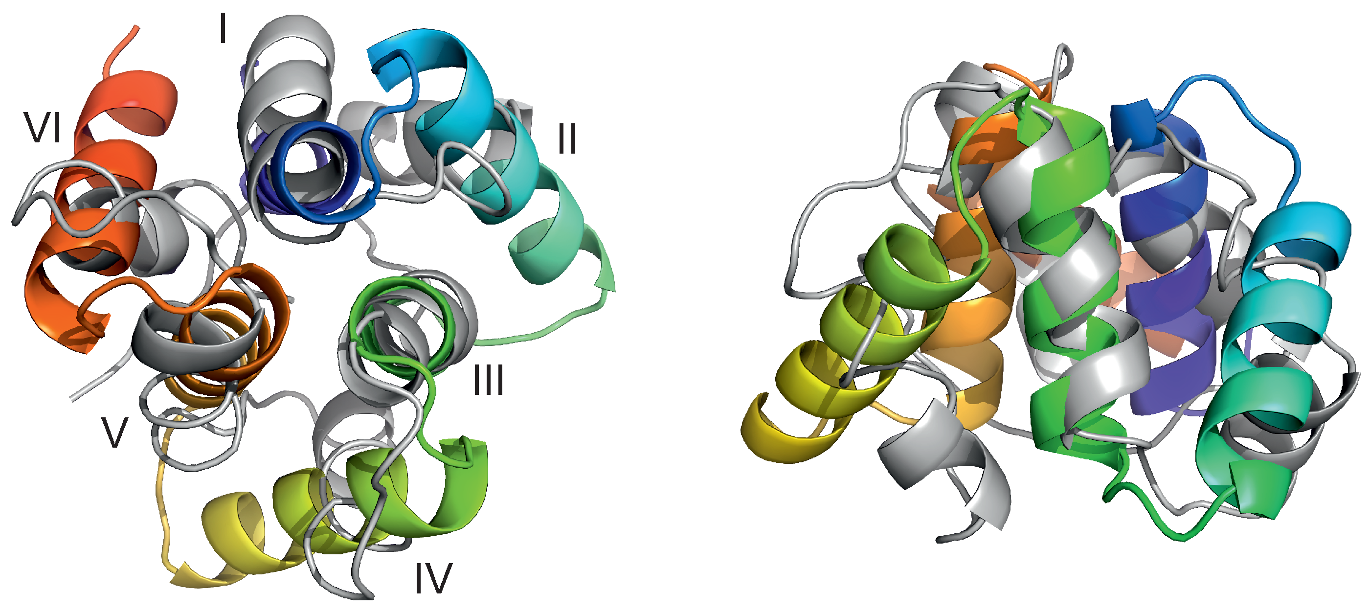 Biomolecules 13 00941 g003 Biomolecules 13 00941 g003