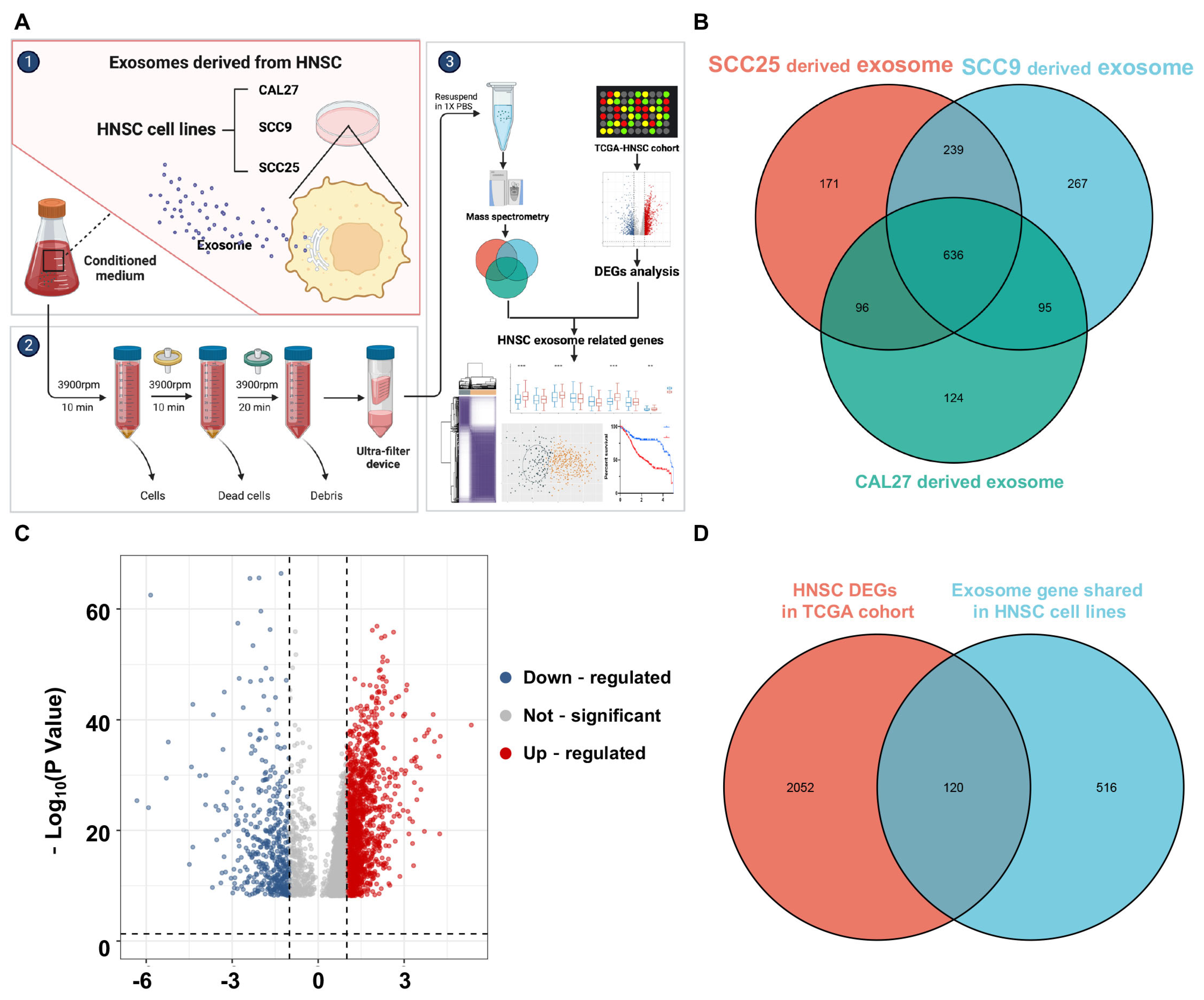 Biomolecules 13 00958 g001