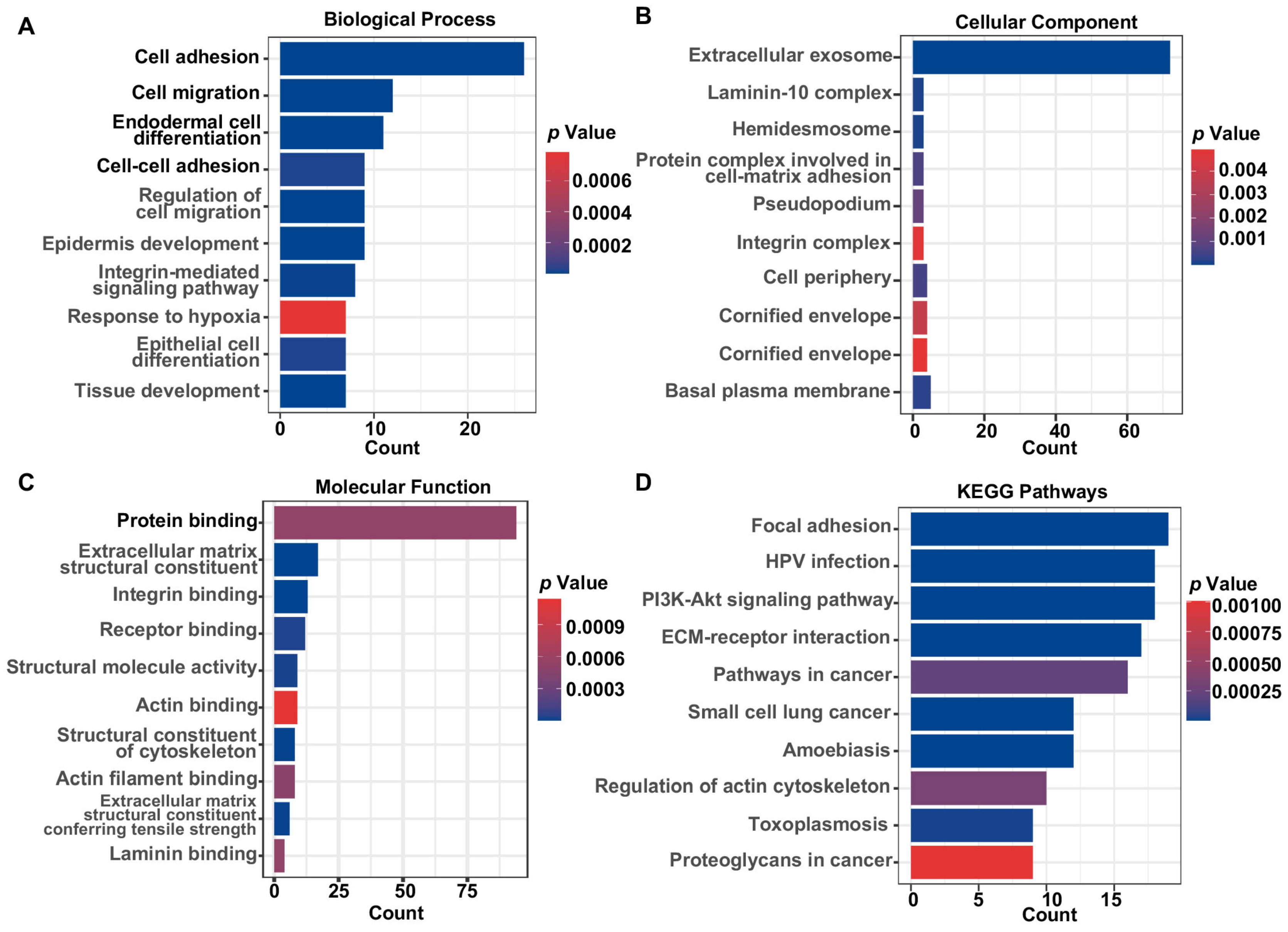 Biomolecules 13 00958 g002