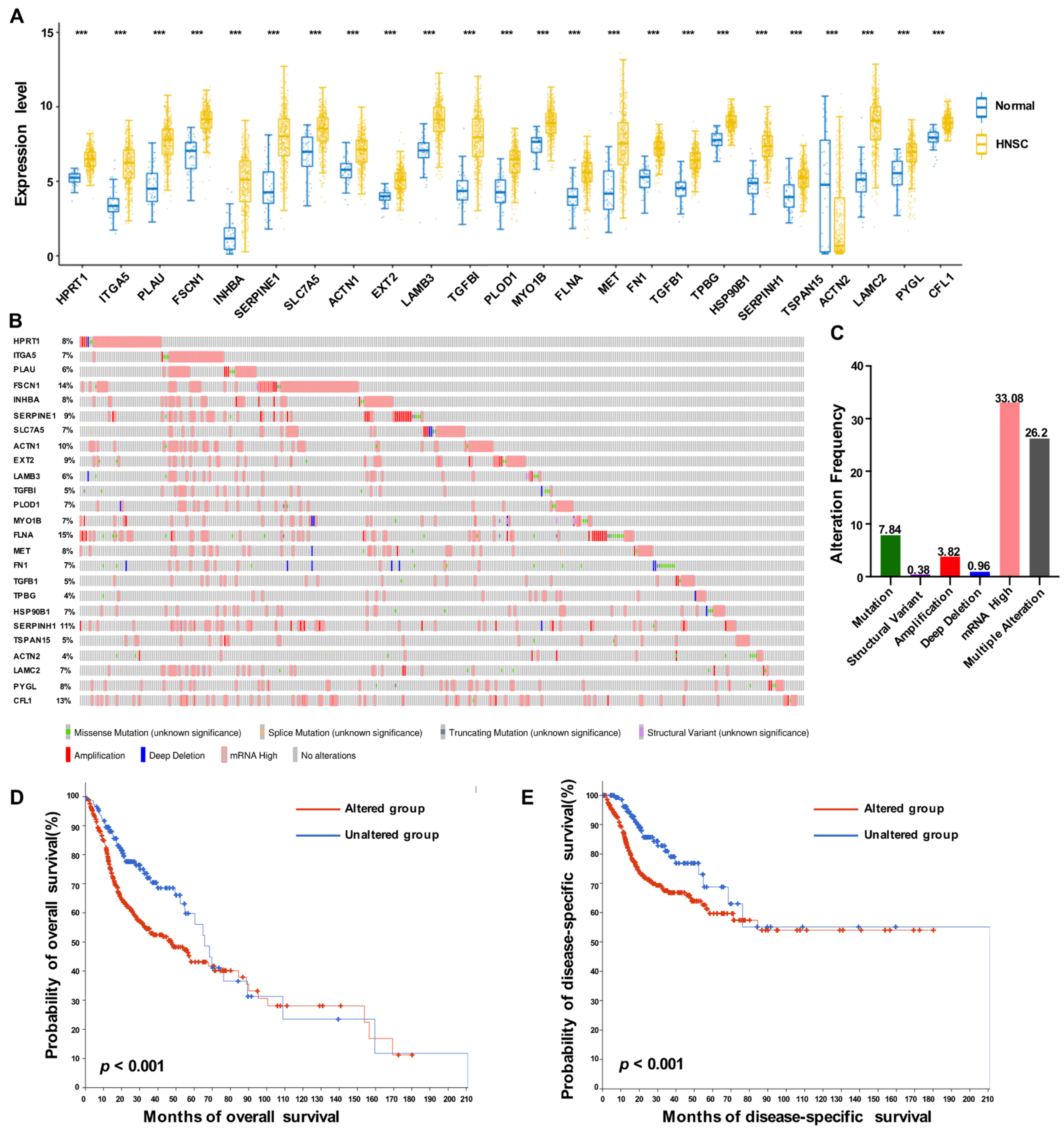 Biomolecules 13 00958 g004