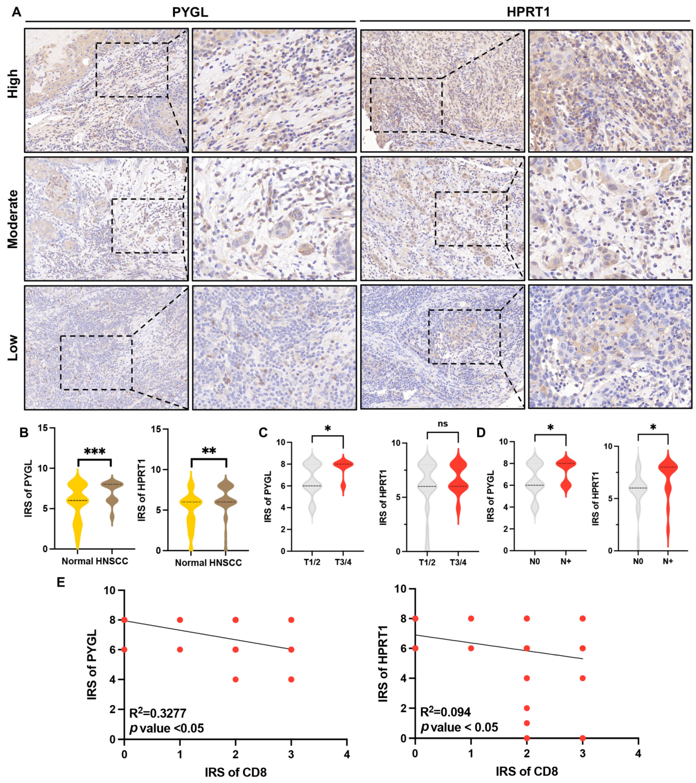 Biomolecules 13 00958 g012
