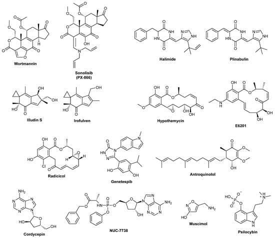 Biomolecules | Free Full-Text | Fungal Drug Discovery for Chronic ...