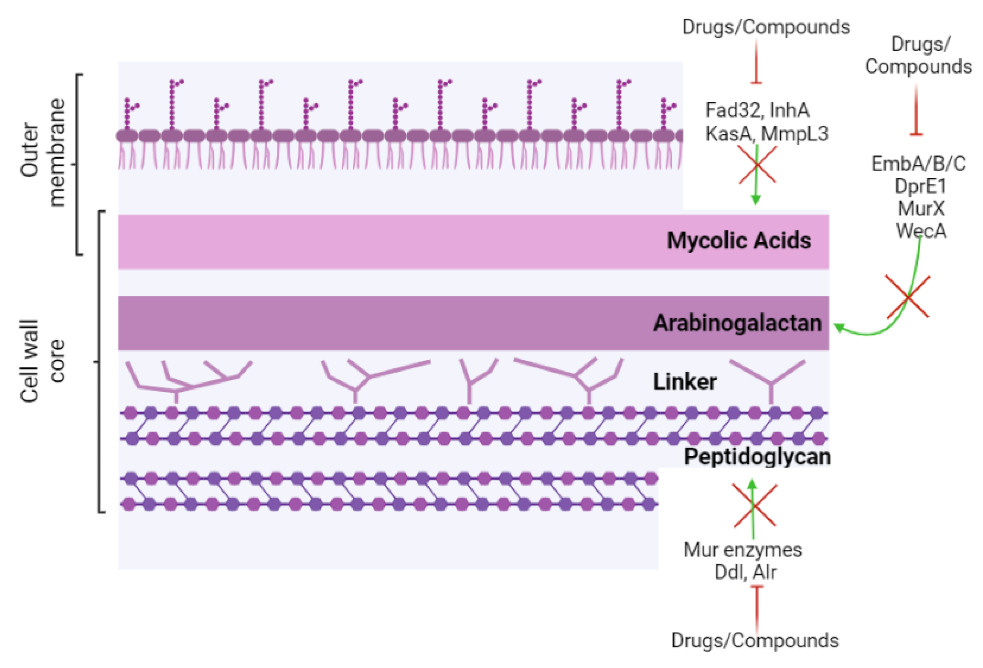 Biomolecules 13 00999 g001 Biomolecules 13 00999 g001