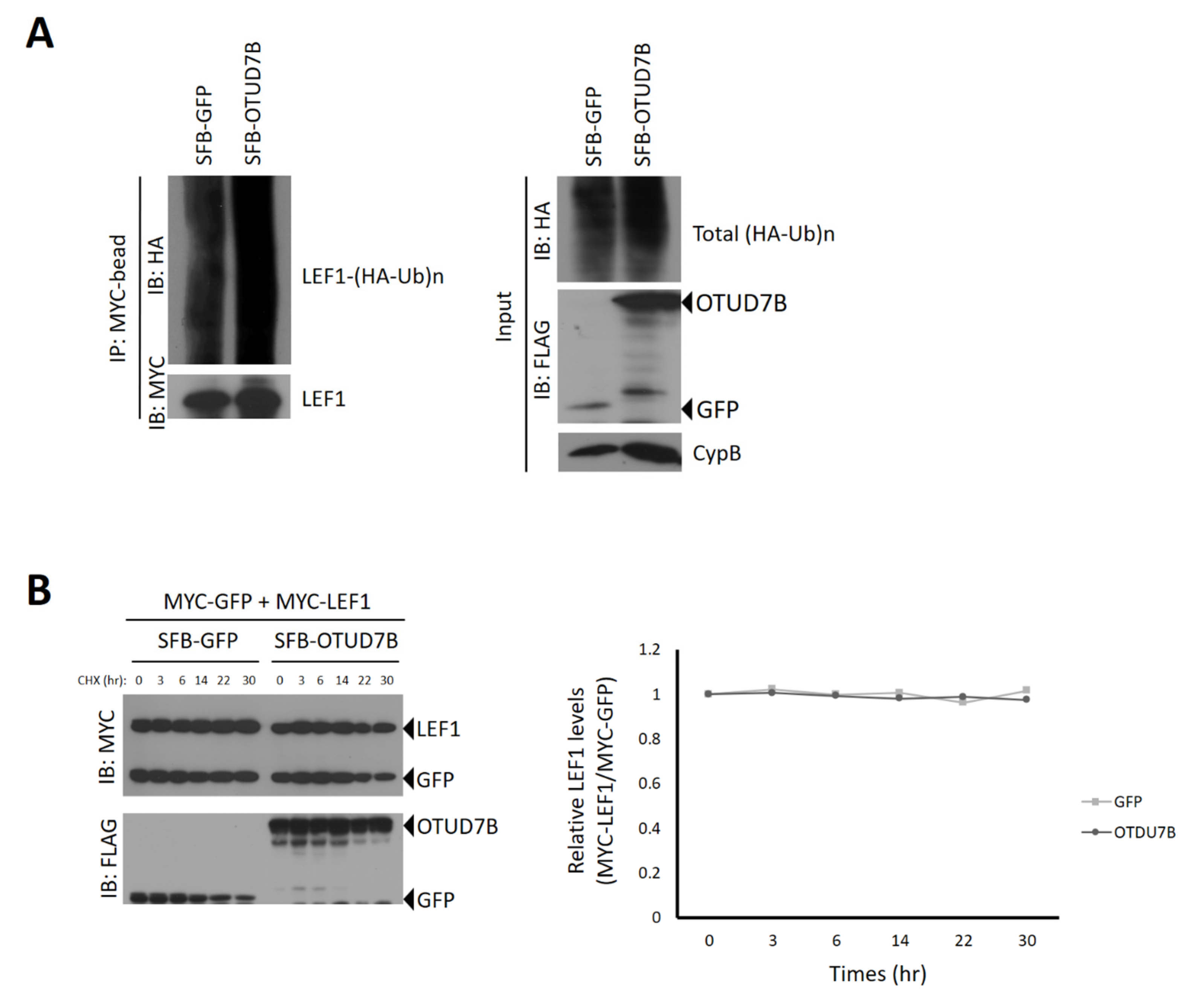 Biomolecules 13 01001 g003 Biomolecules 13 01001 g003