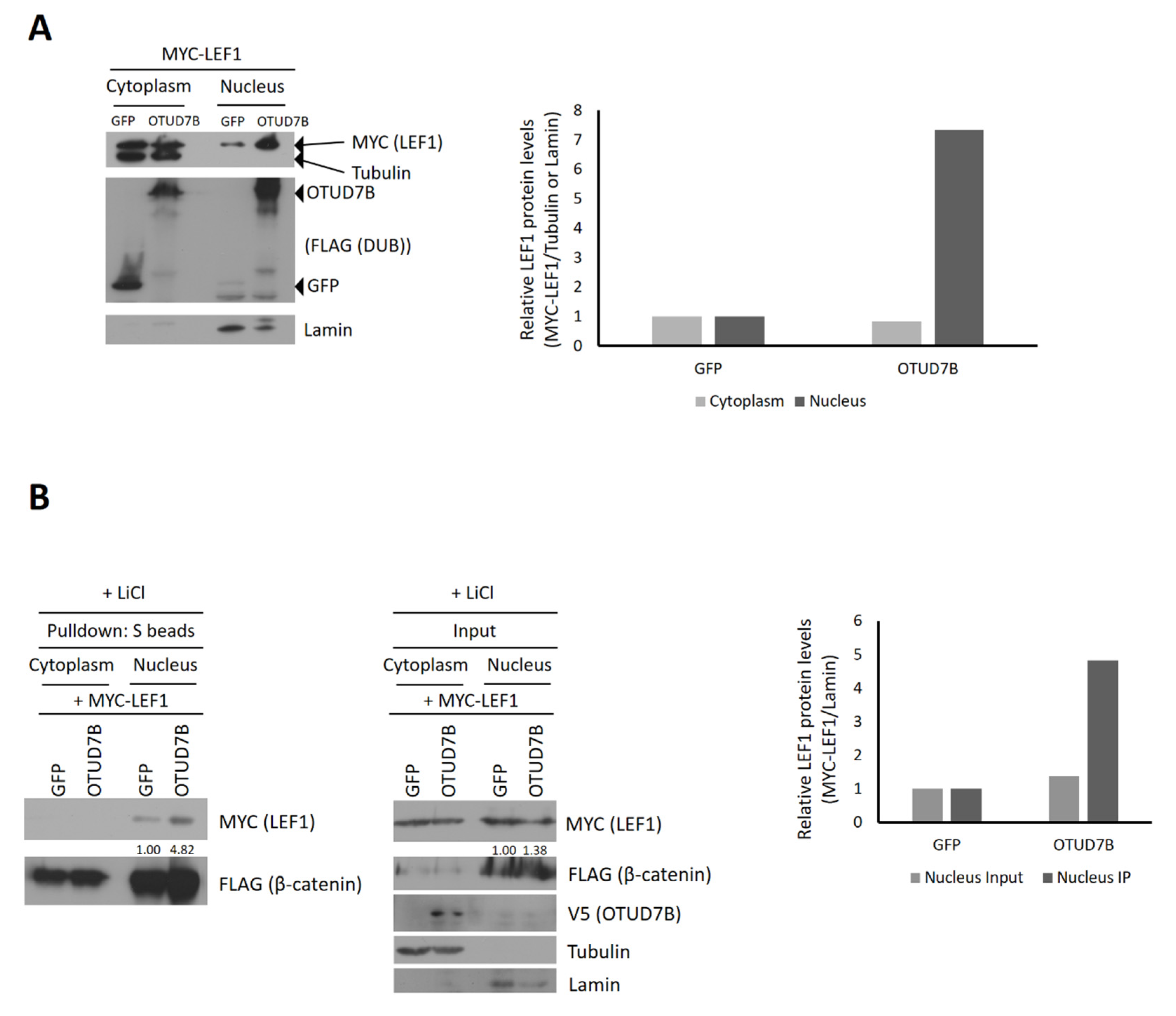 Biomolecules 13 01001 g004 Biomolecules 13 01001 g004