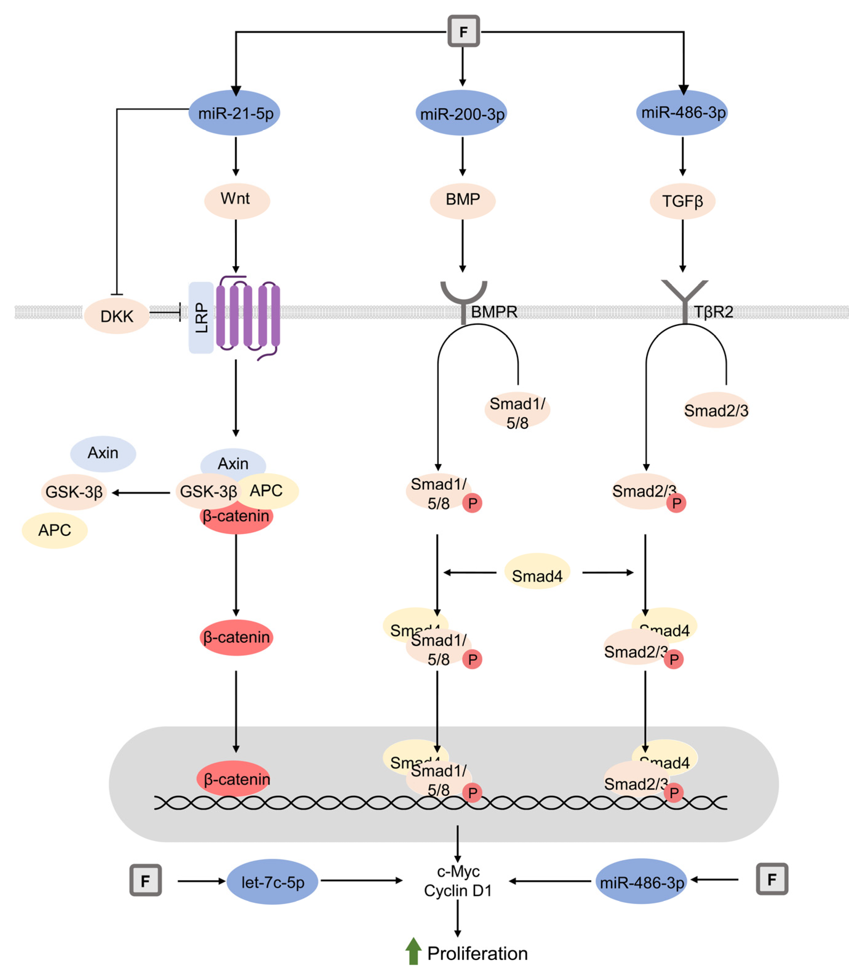 Biomolecules 13 01006 g003